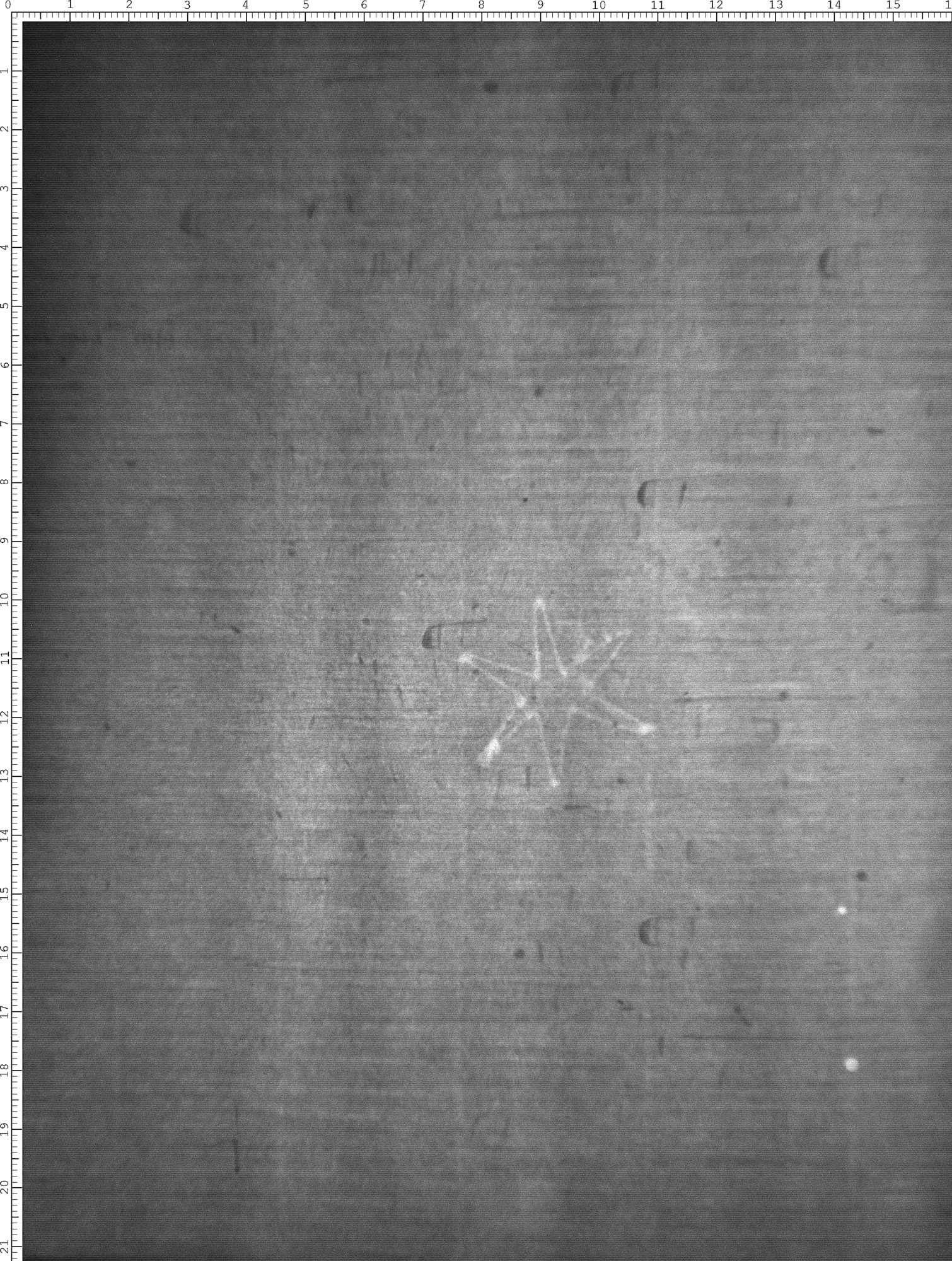 Watermark