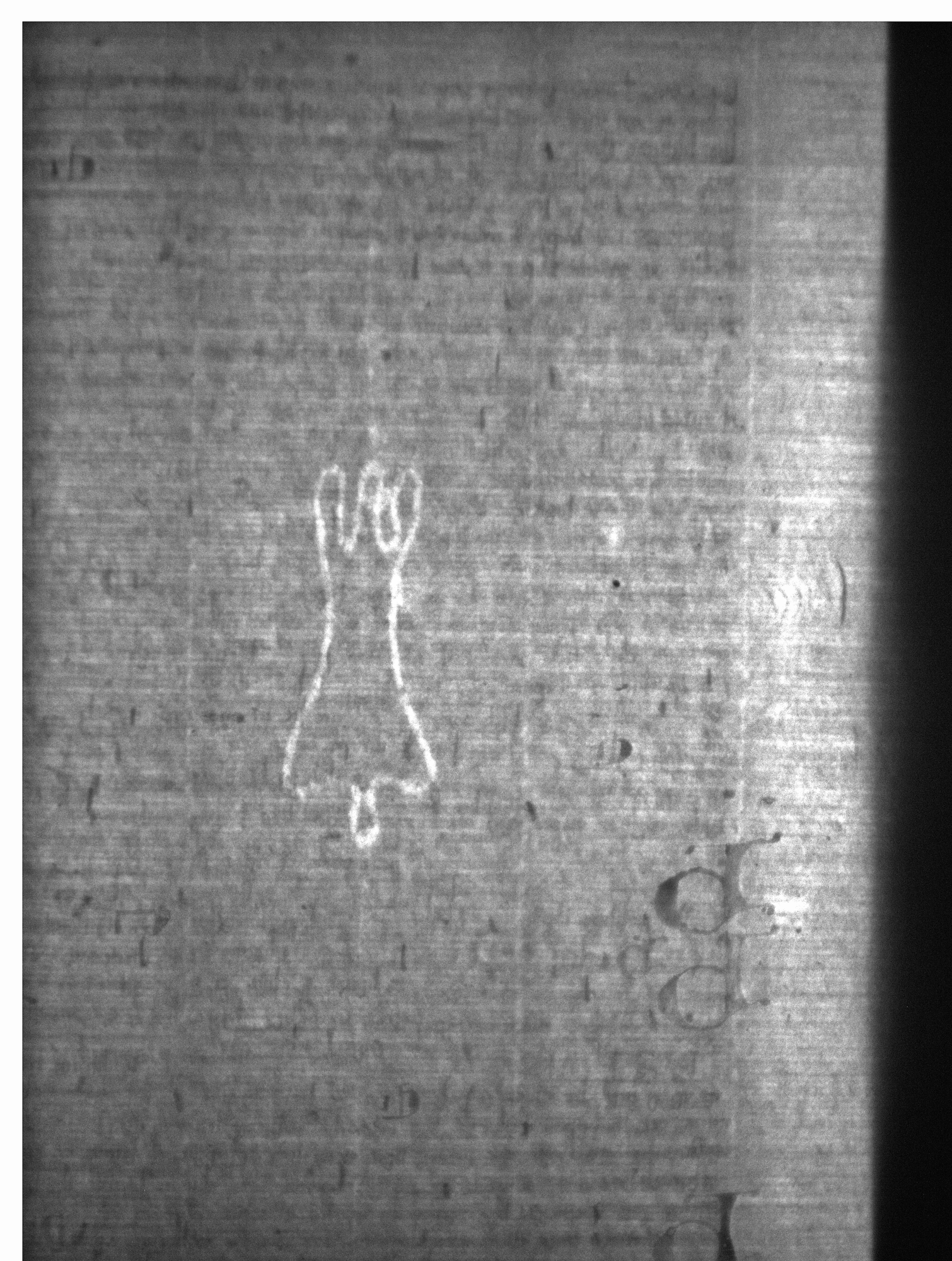 Watermark
