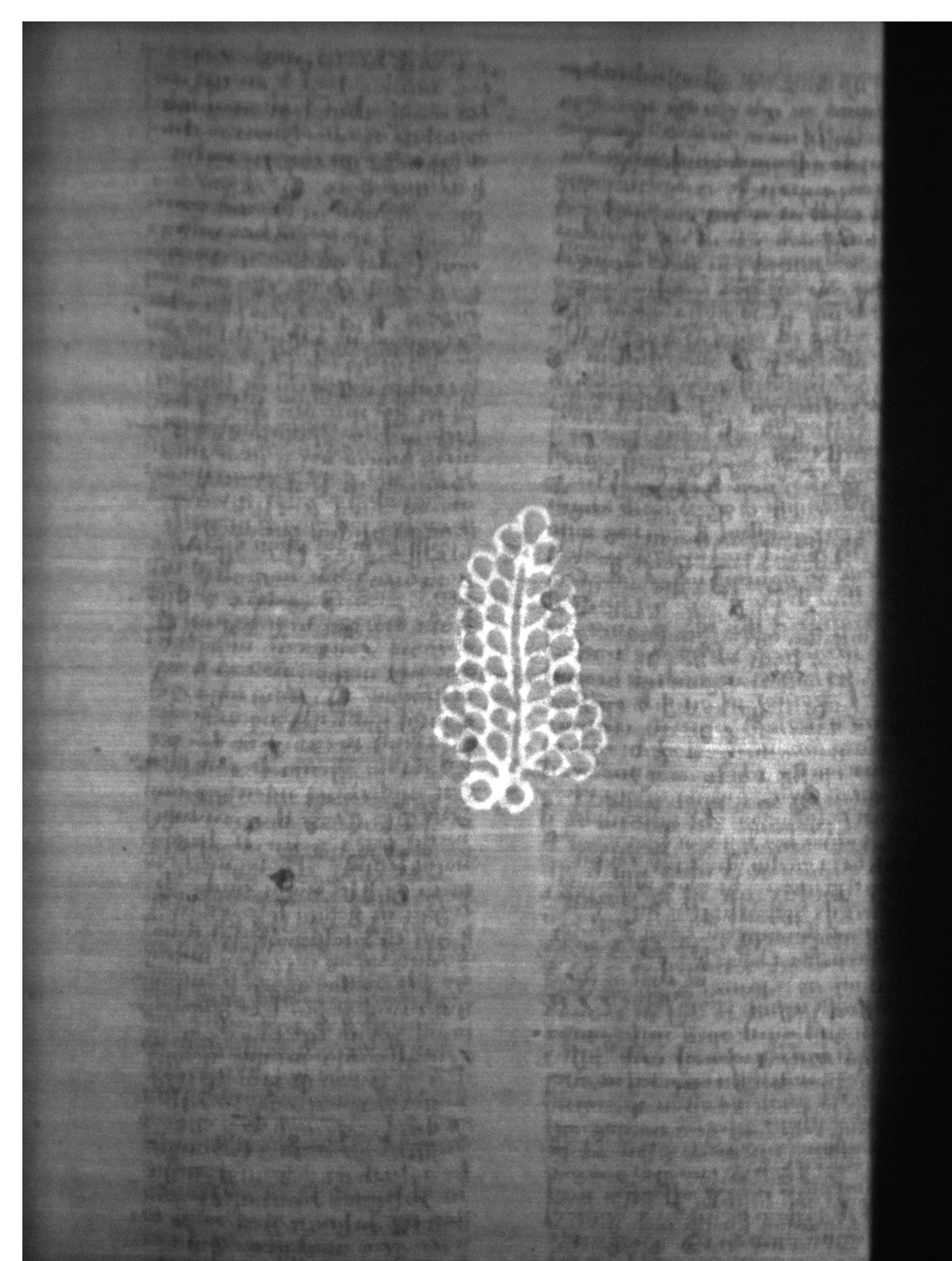 Watermark