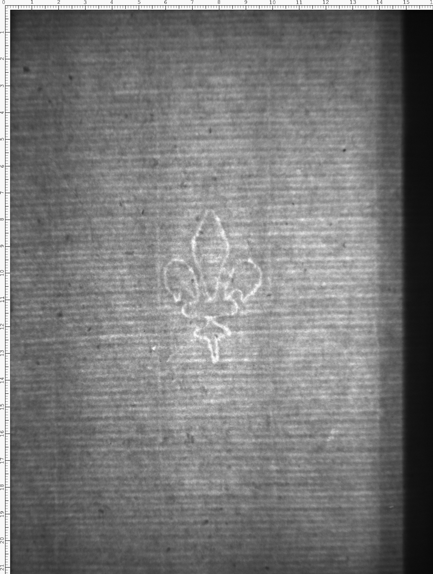 Watermark