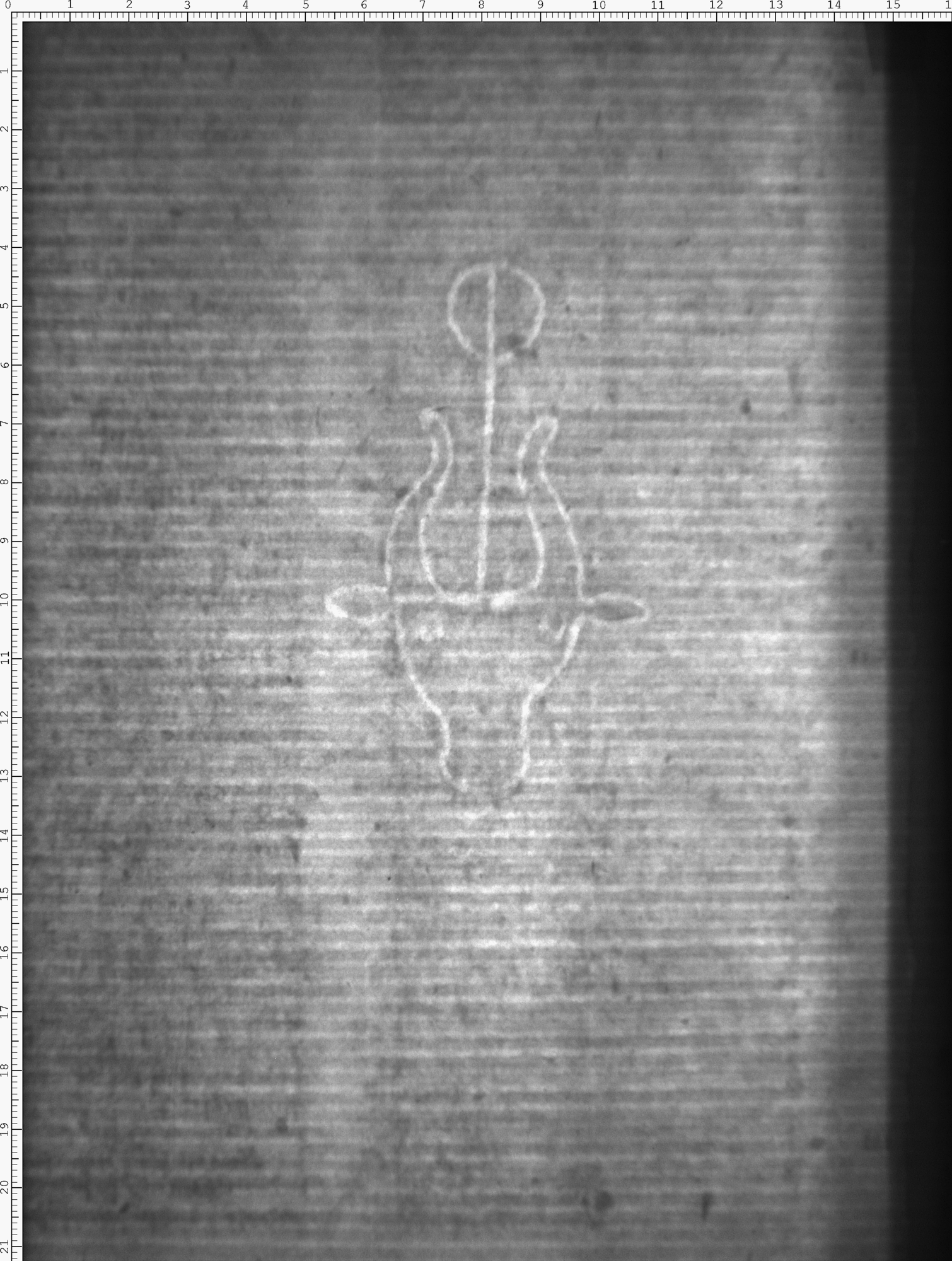 Watermark