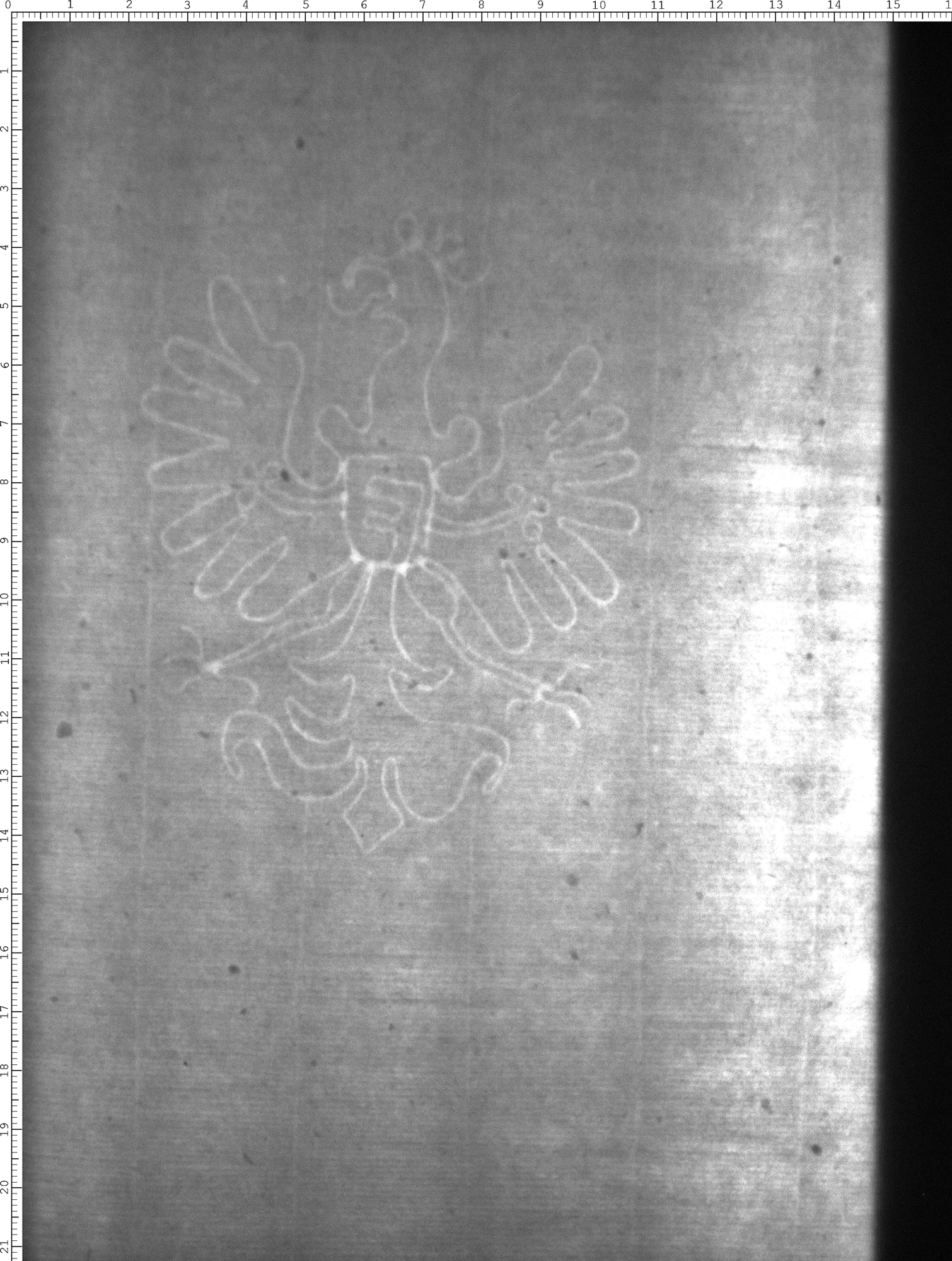 Watermark