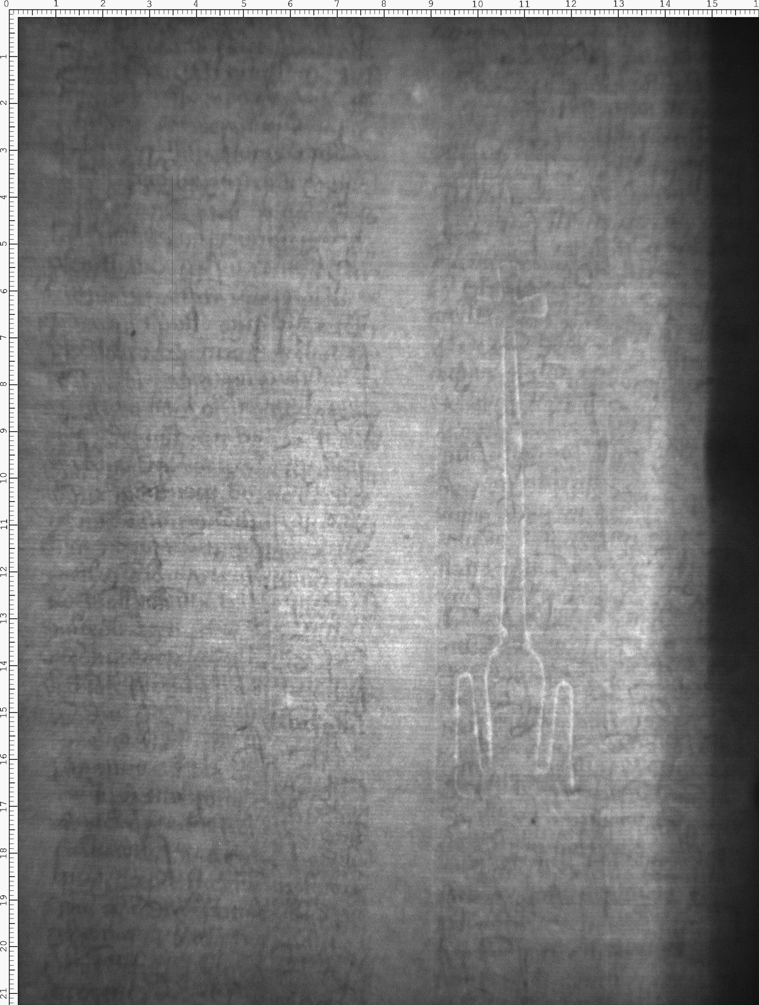 Watermark