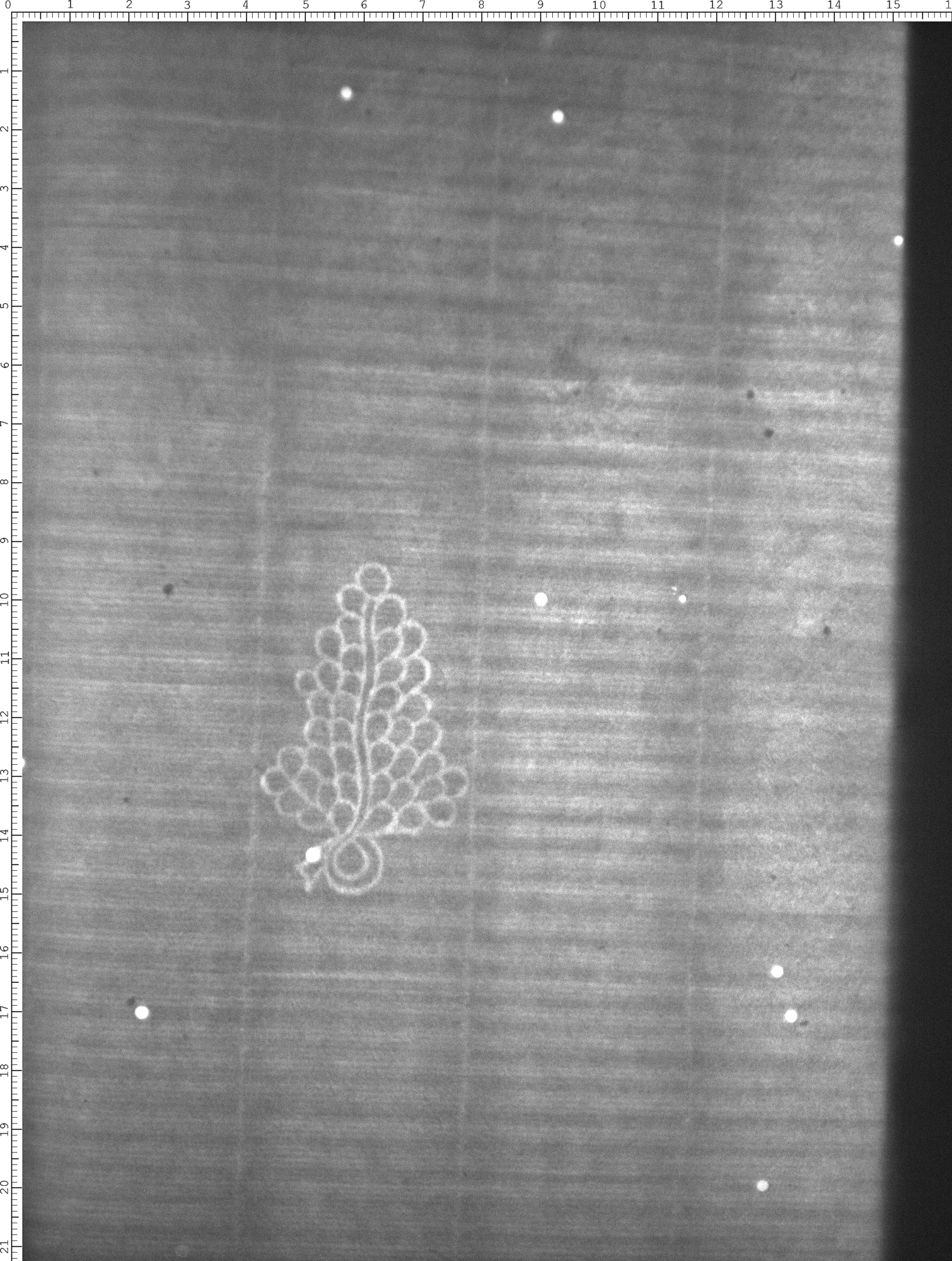 Watermark