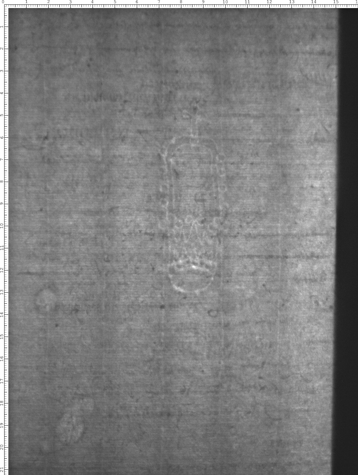 Watermark
