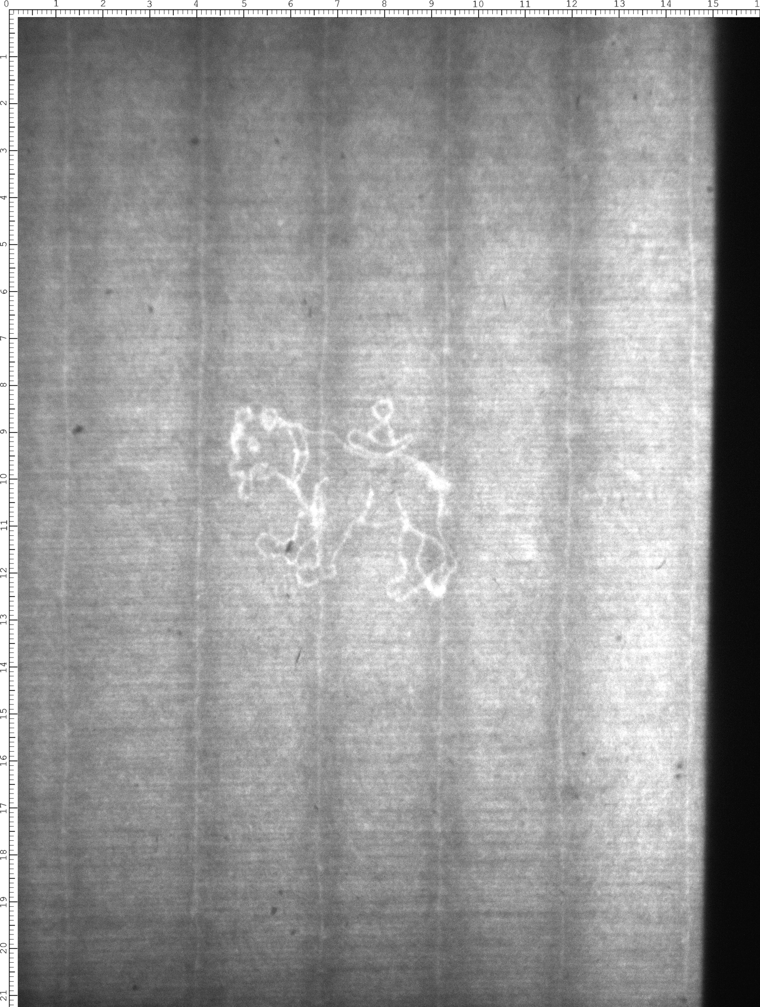 Watermark