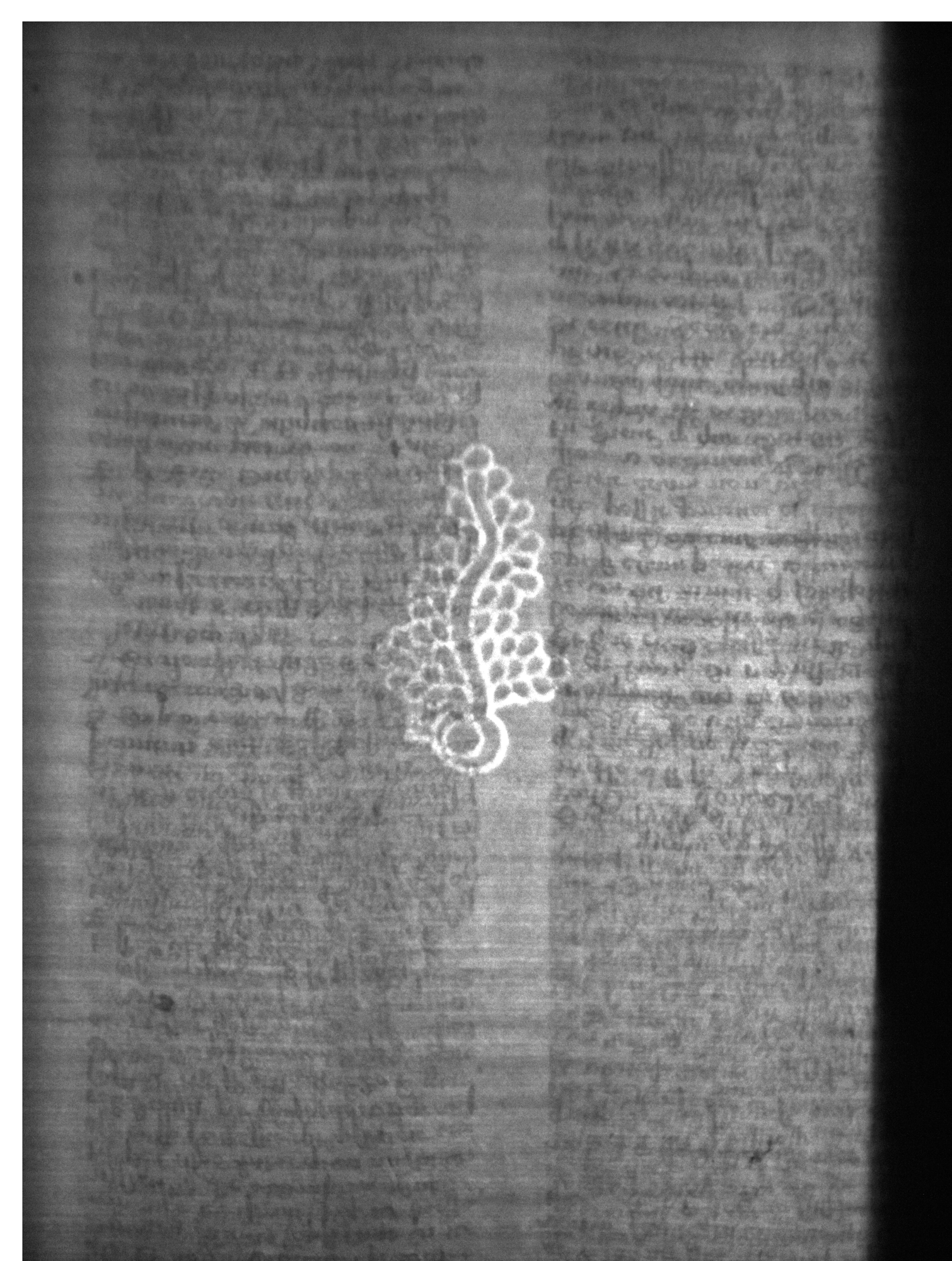 Watermark