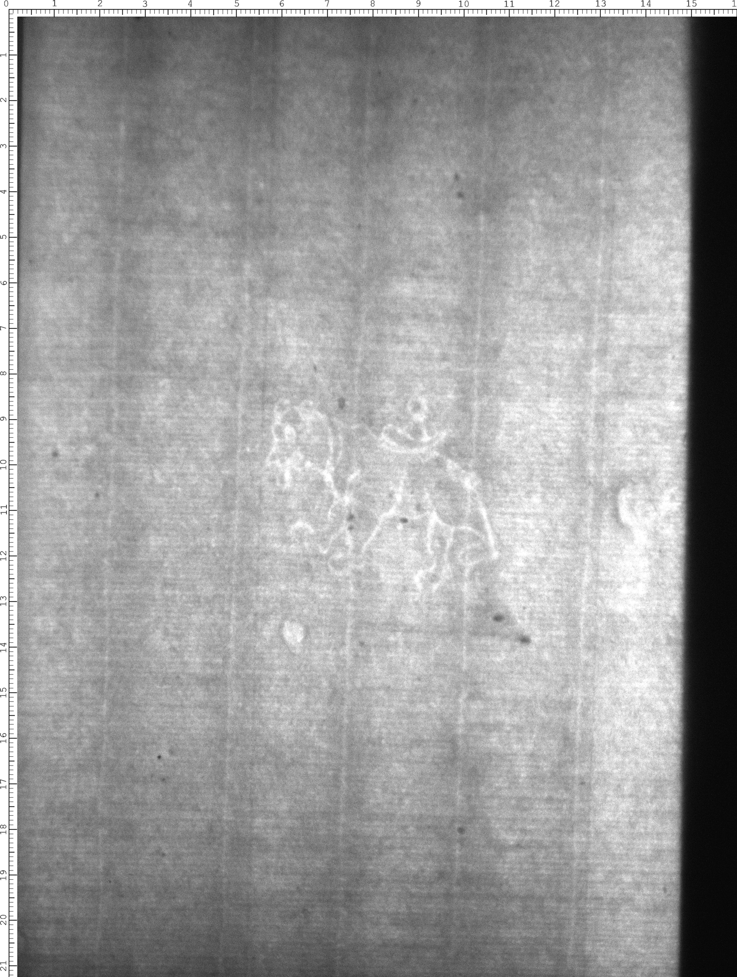 Watermark
