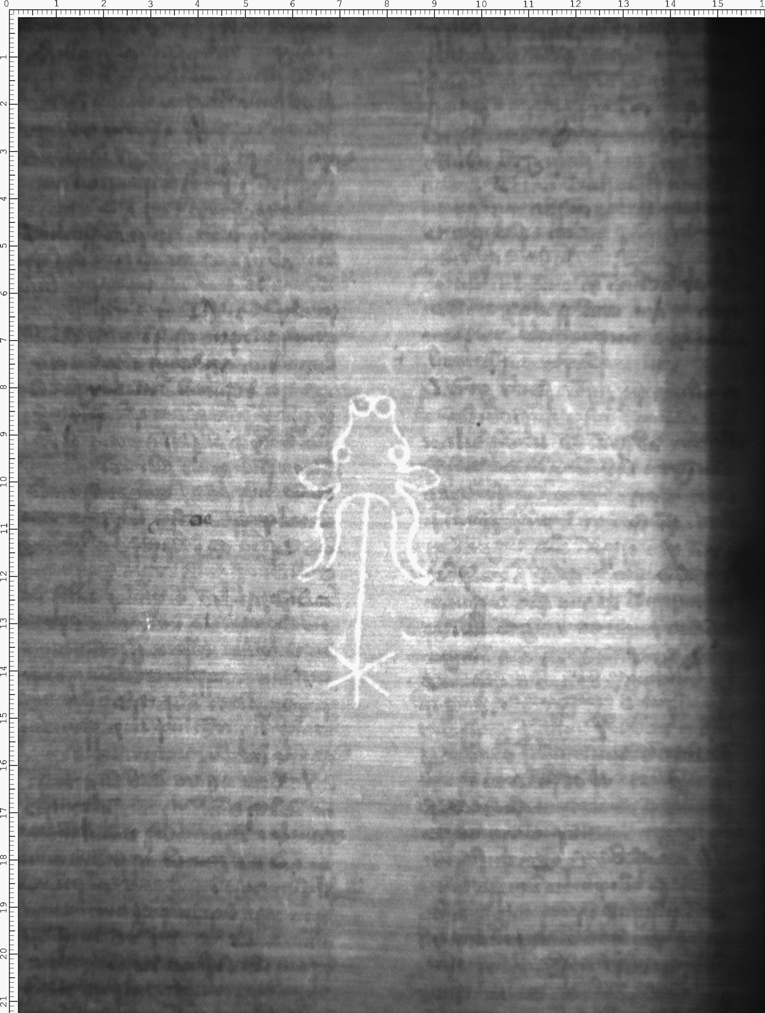 Watermark