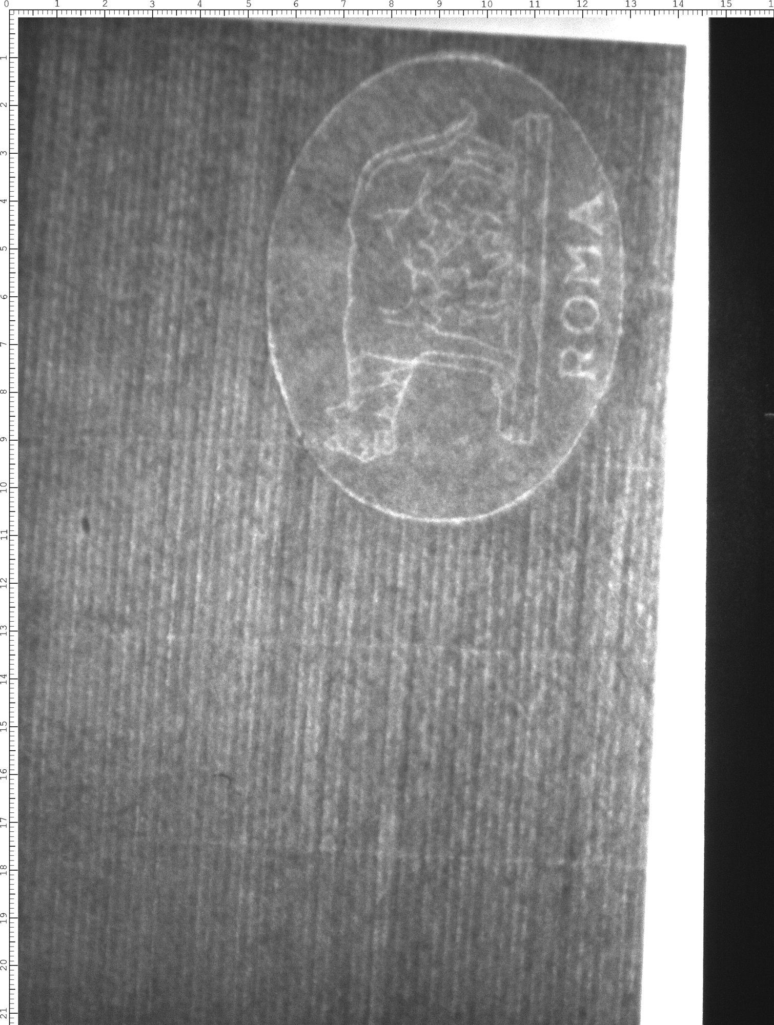 Watermark