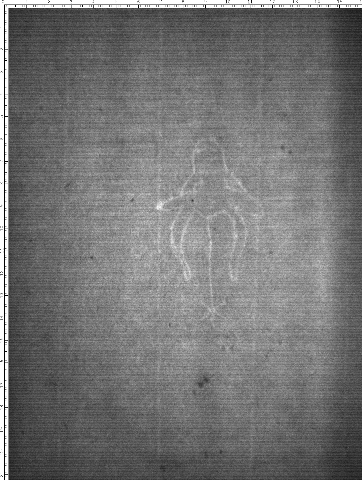 Watermark