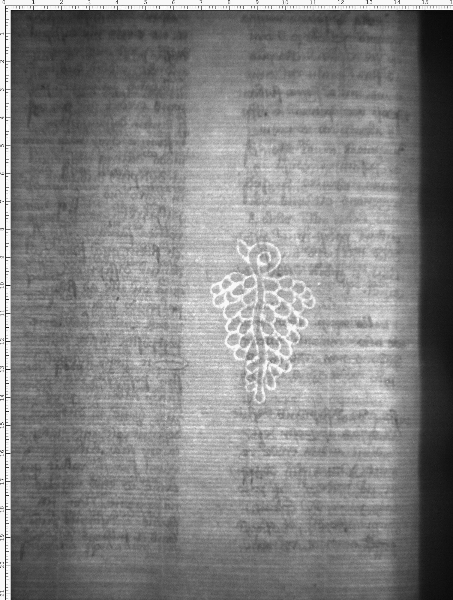 Watermark