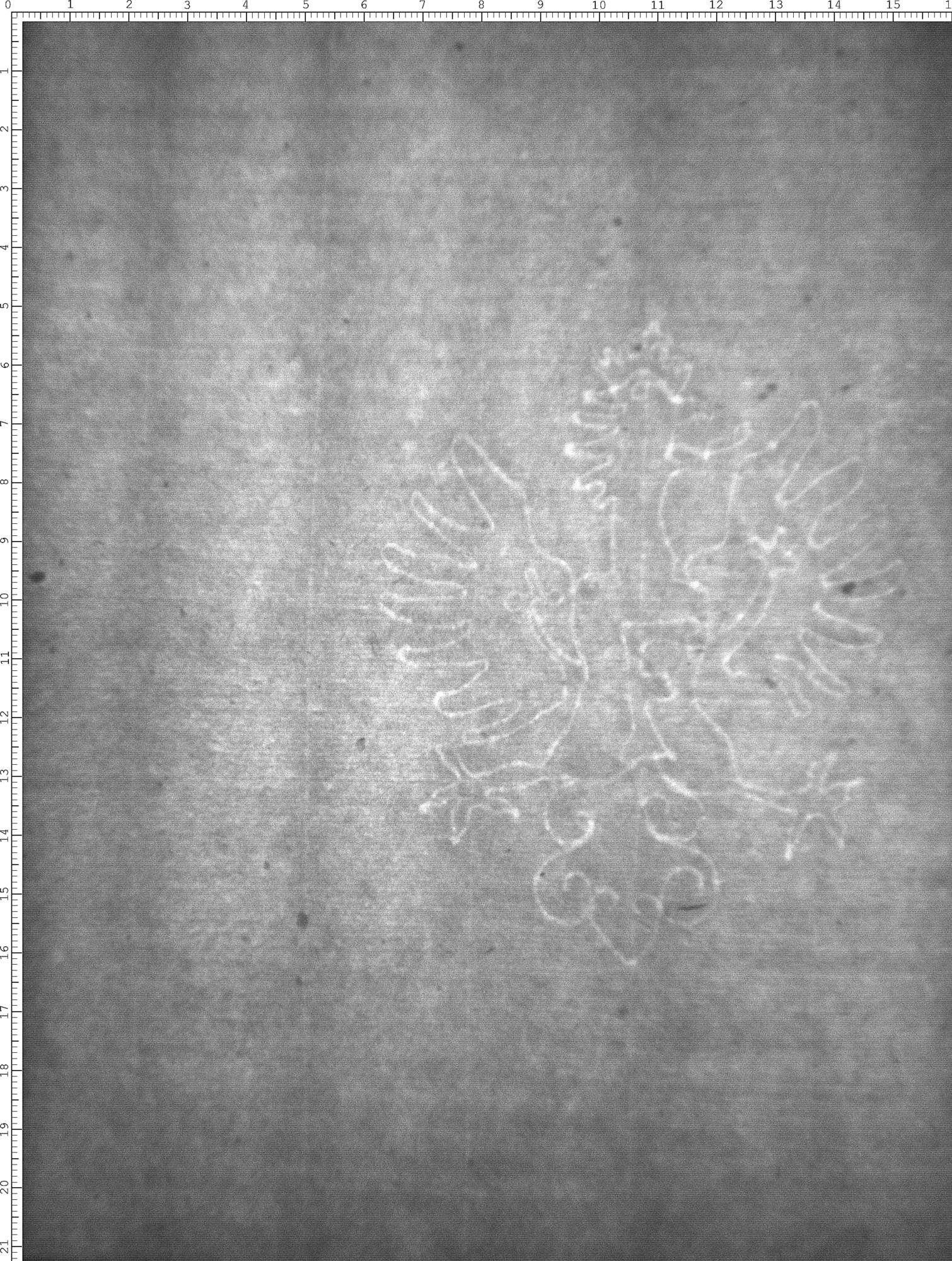 Watermark