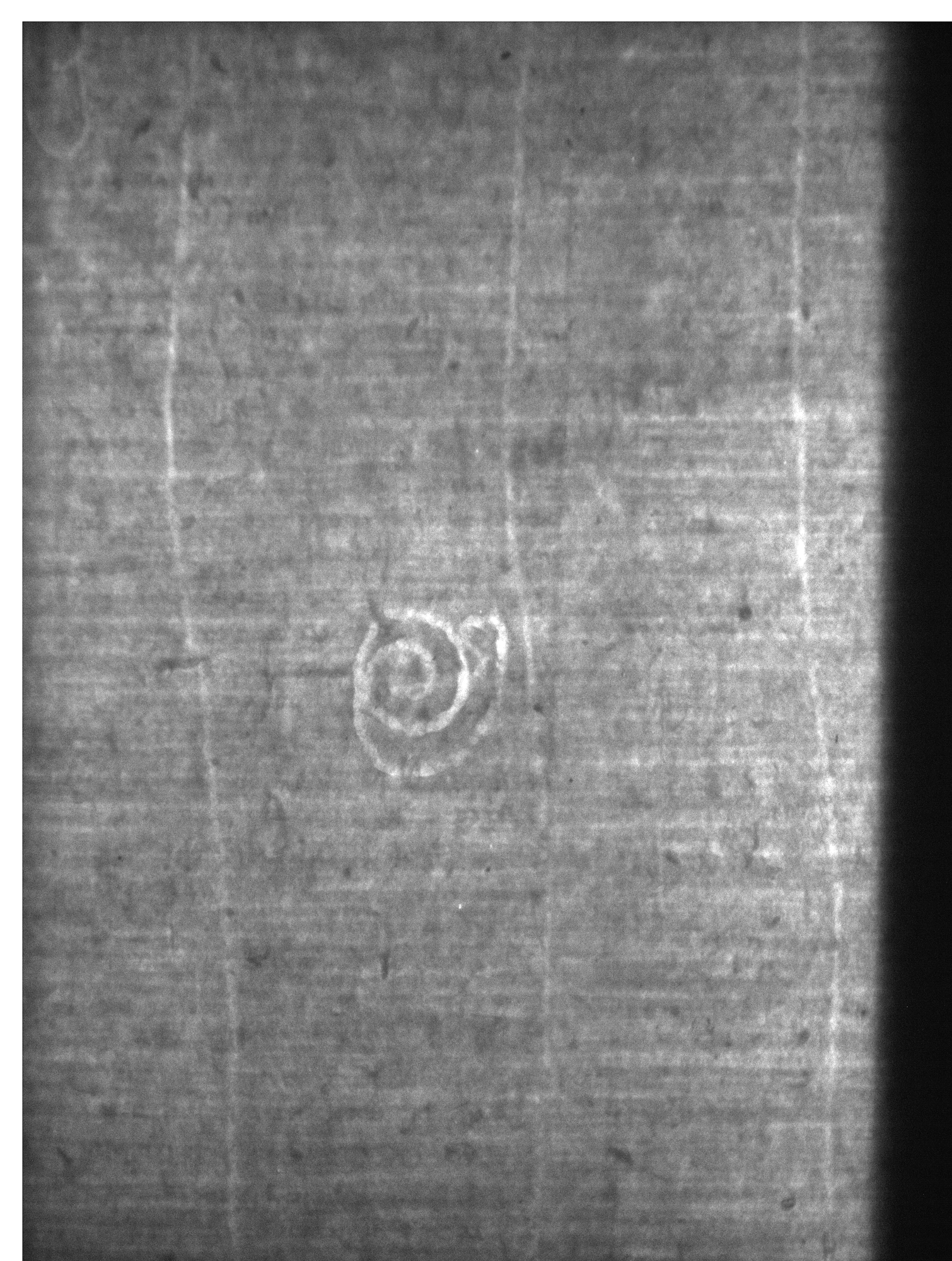Watermark
