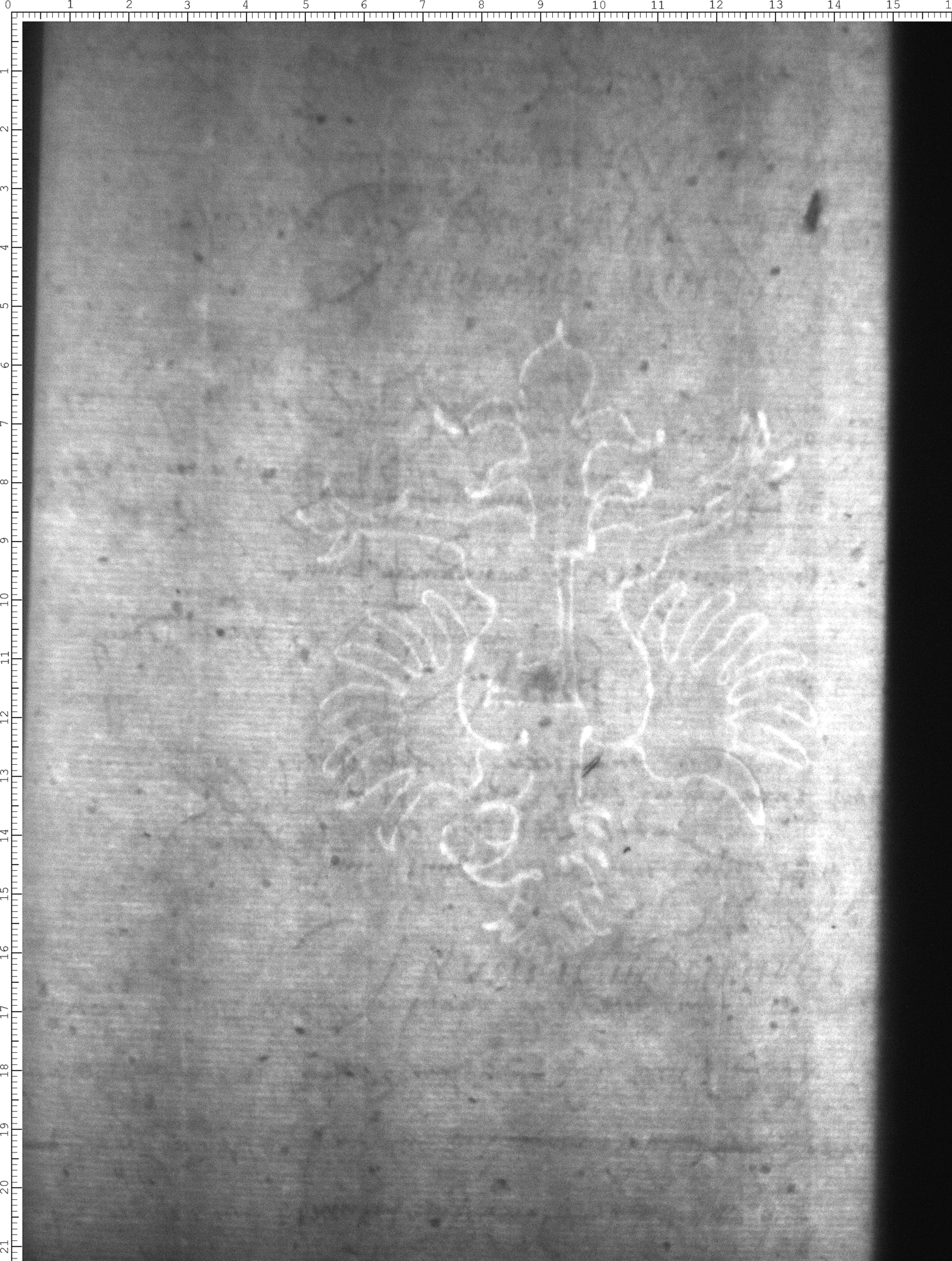 Watermark