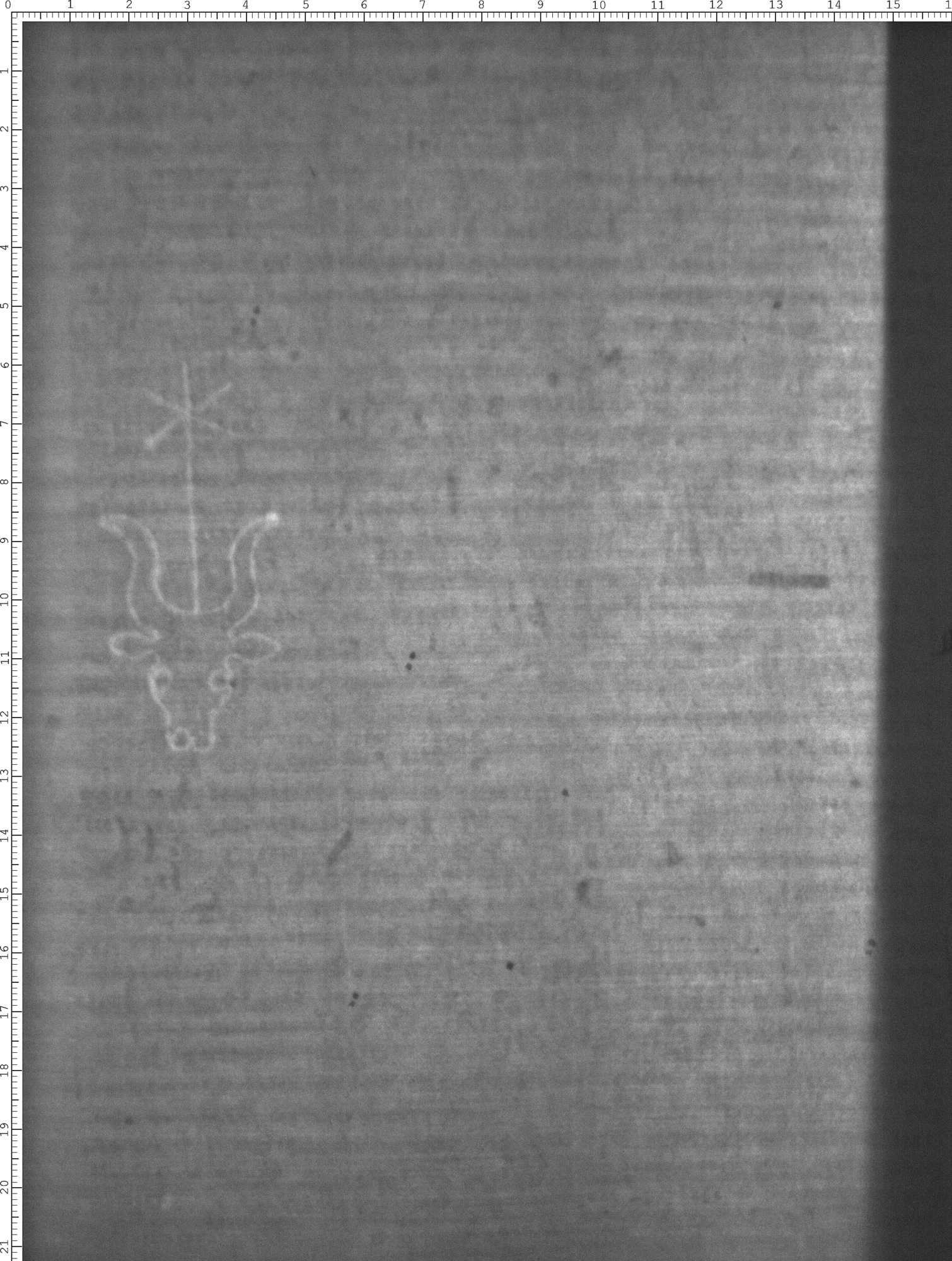 Watermark