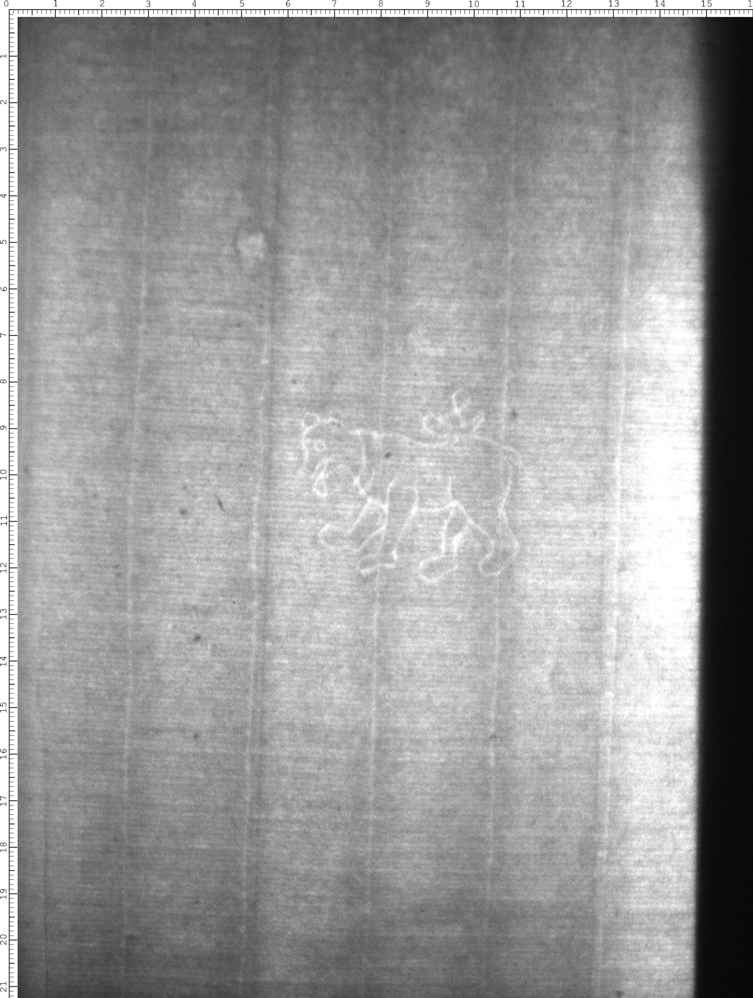 Watermark