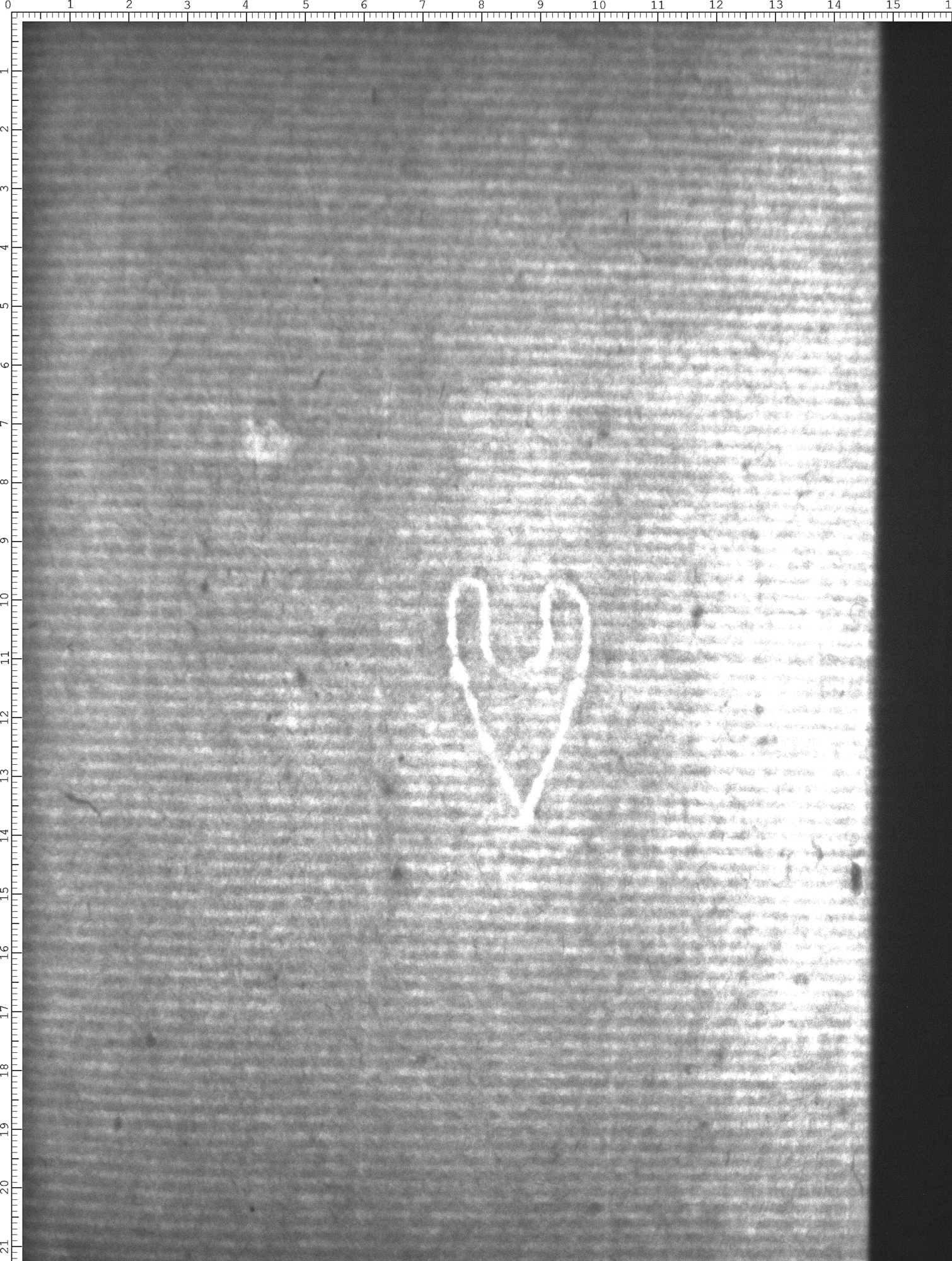 Watermark
