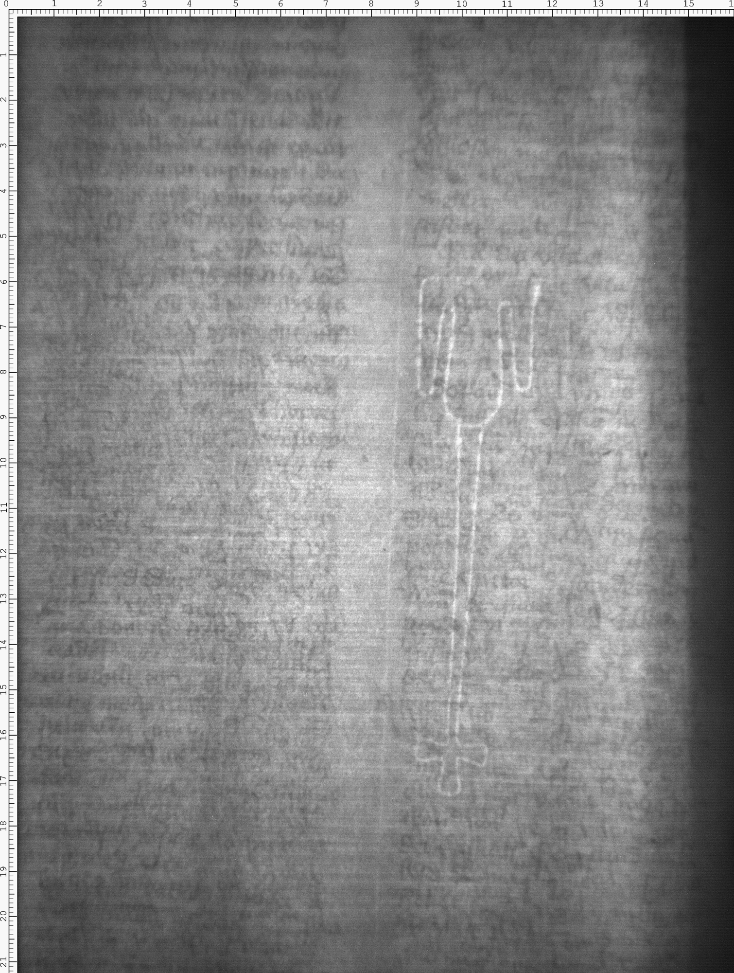 Watermark