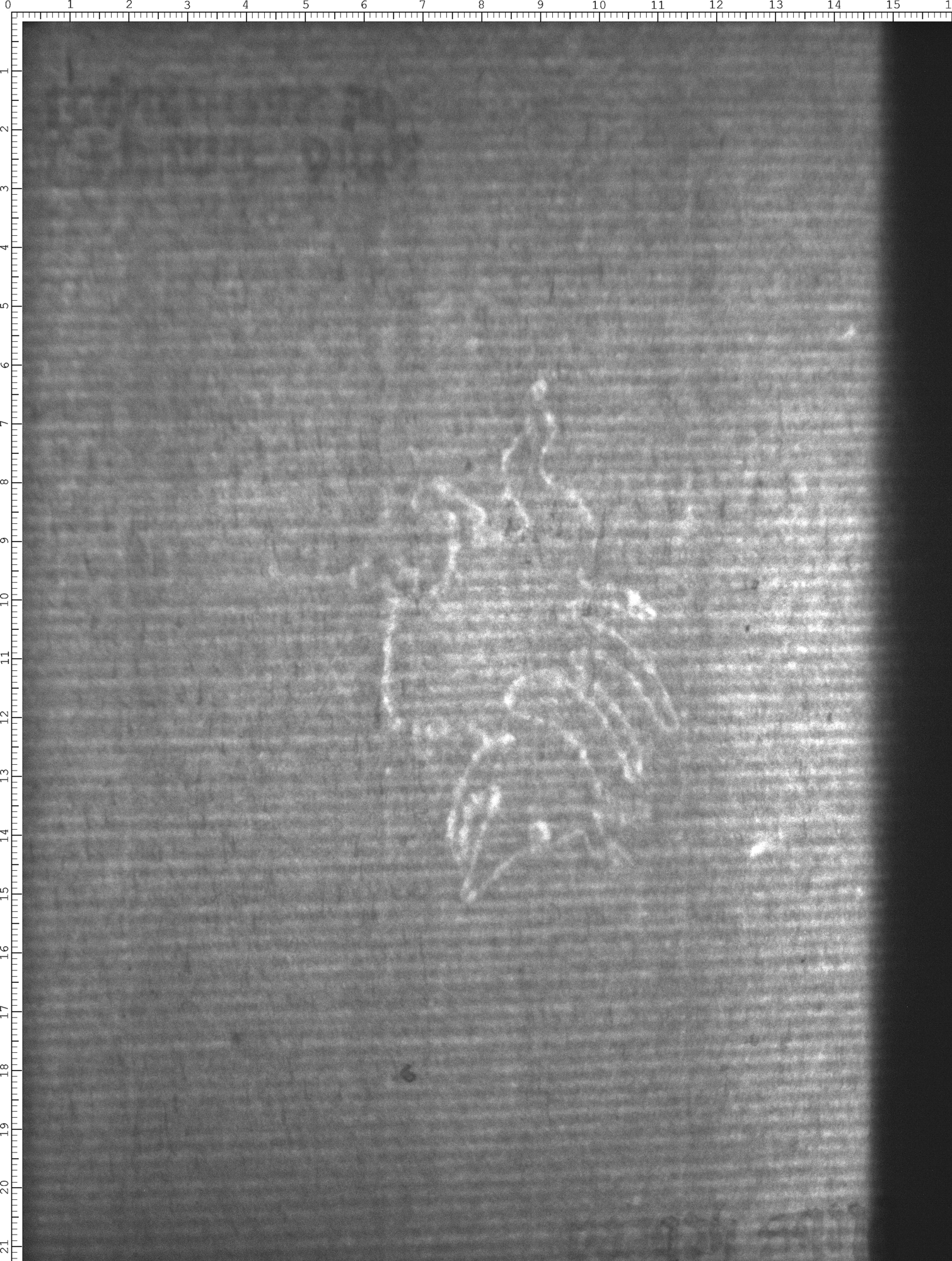 Watermark