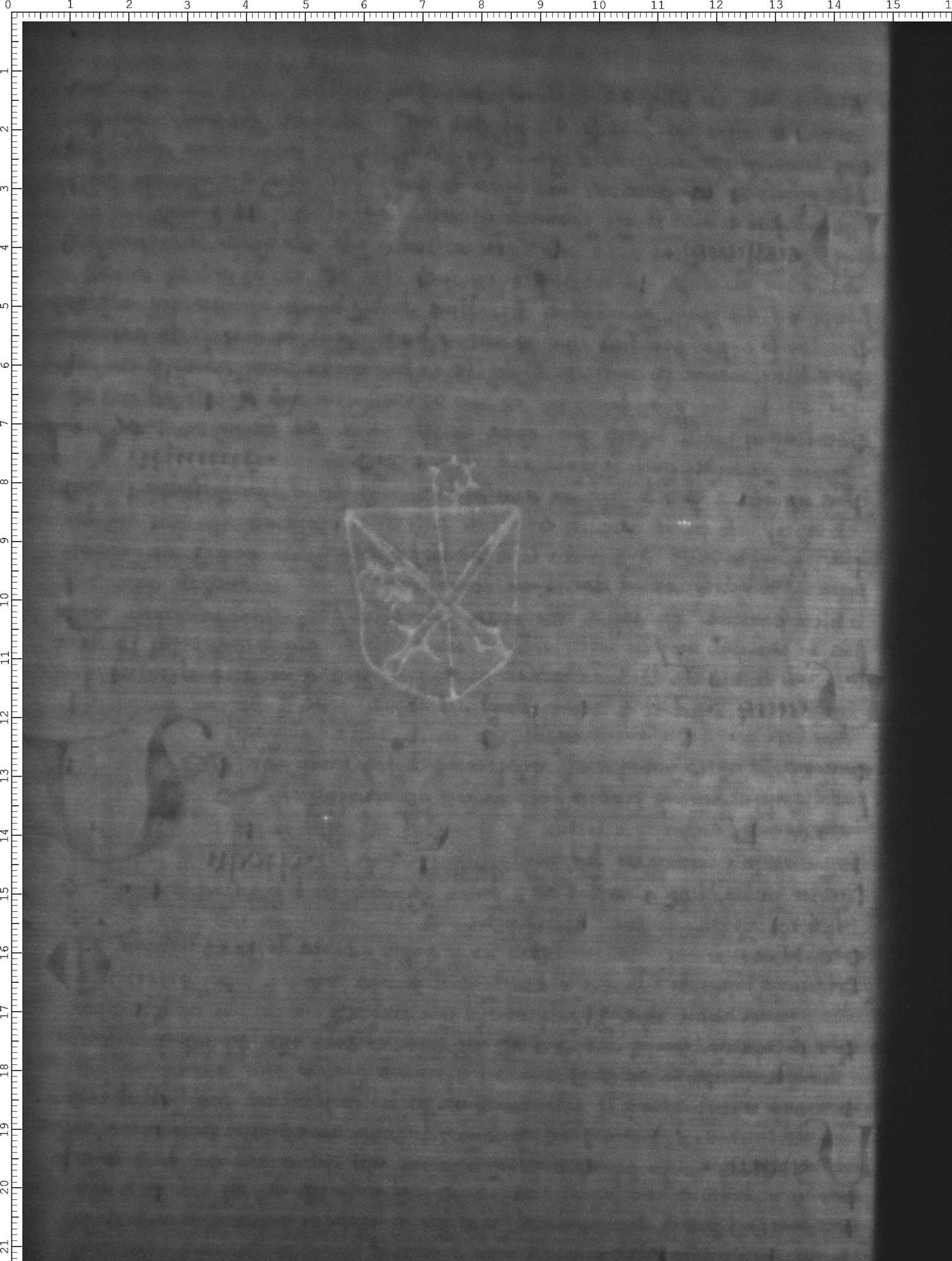 Watermark
