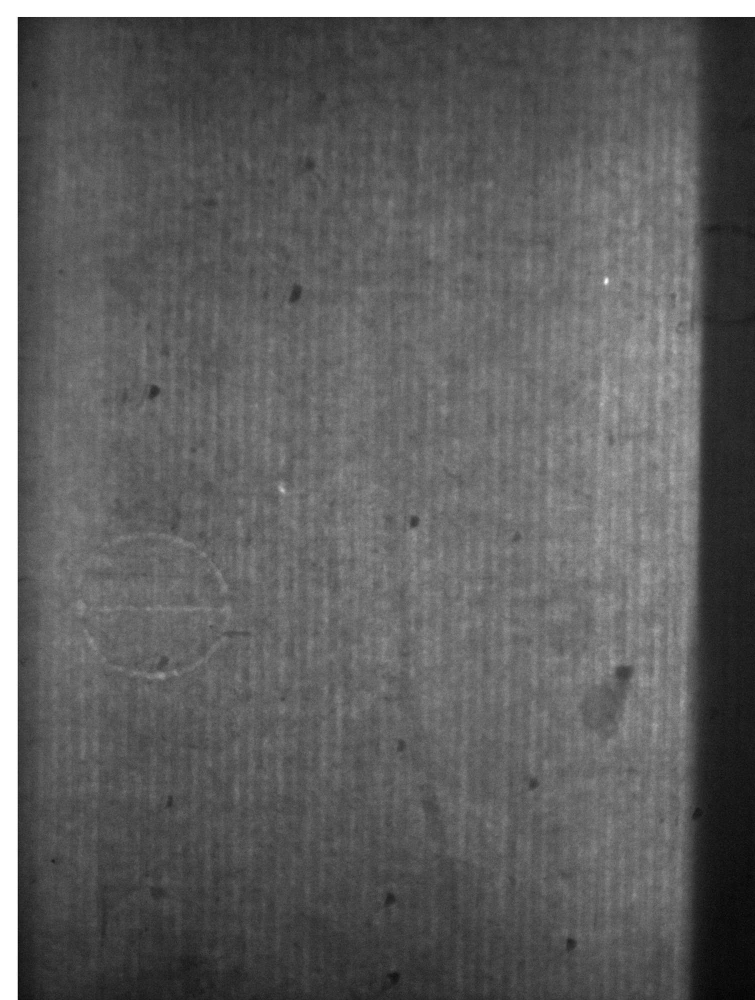 Watermark