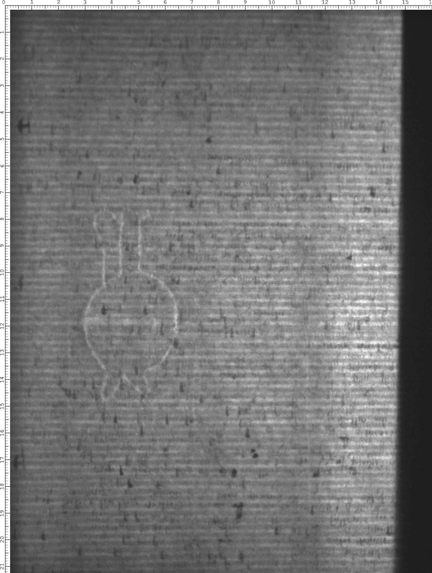 Watermark