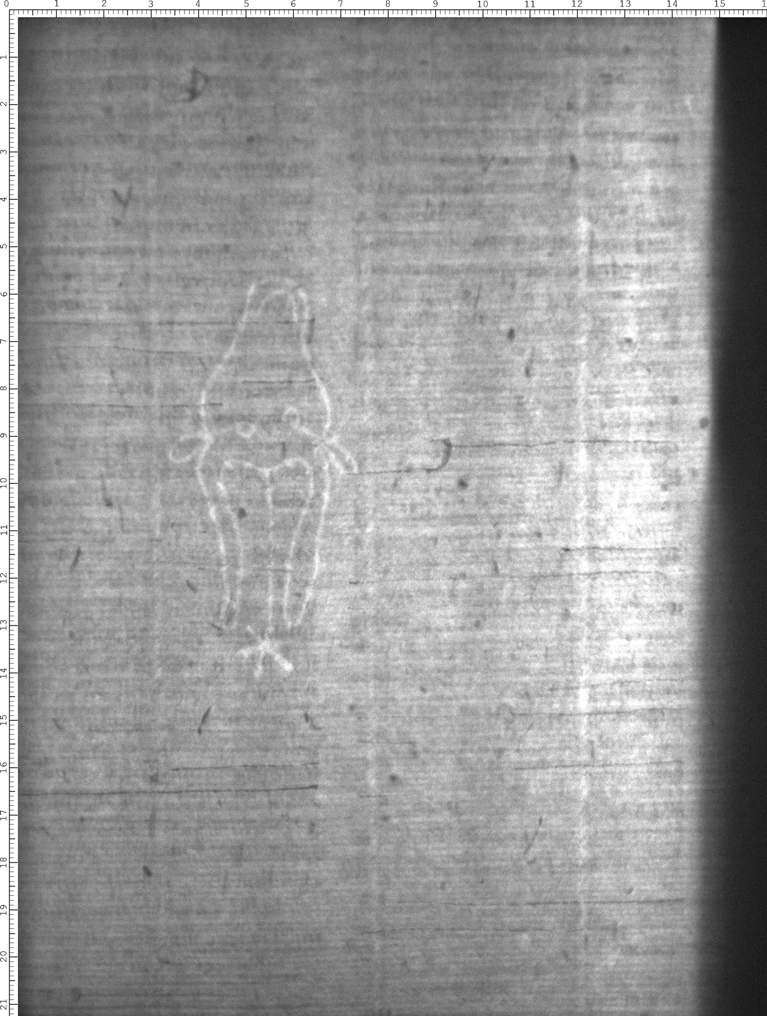 Watermark