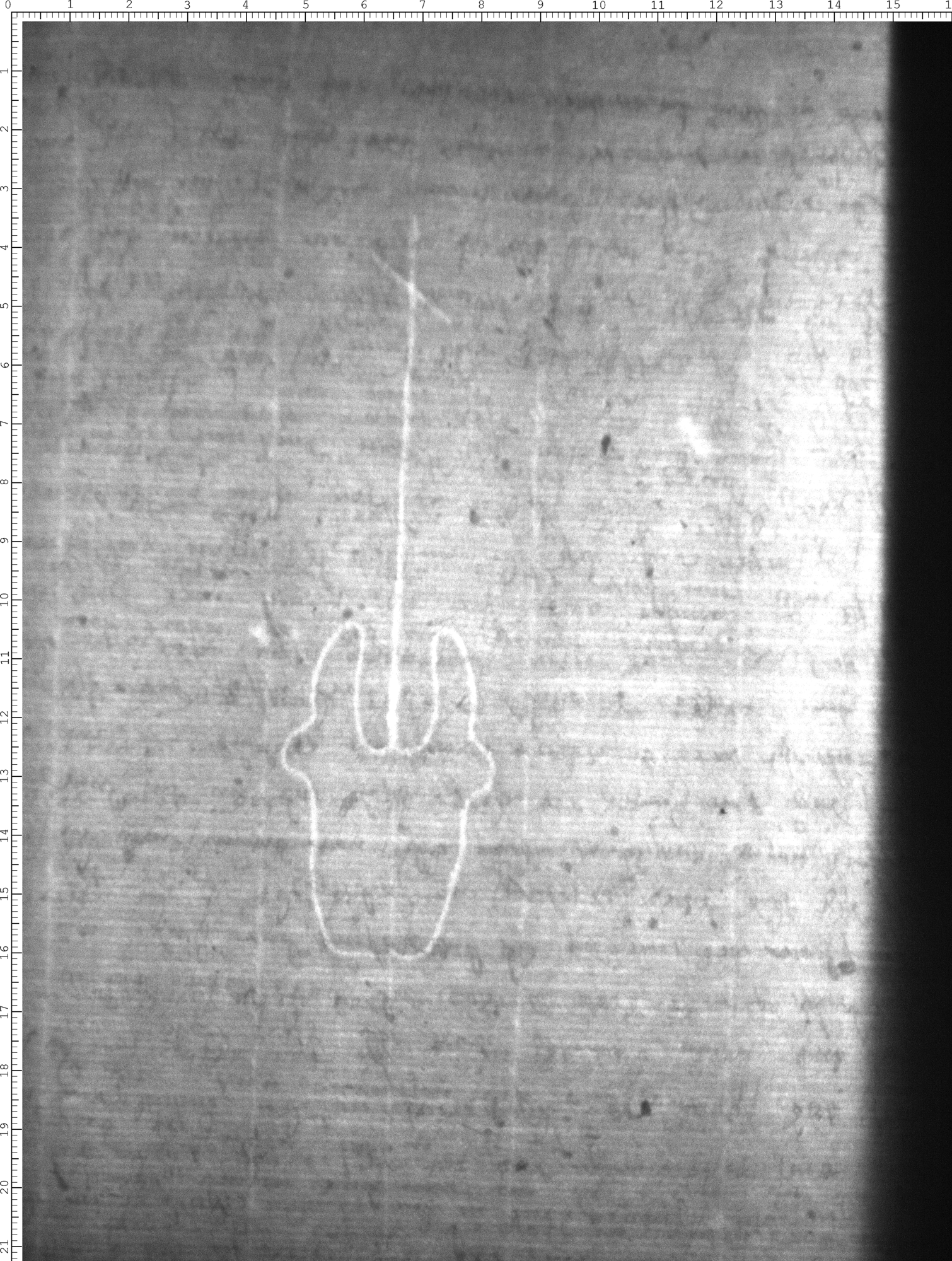 Watermark