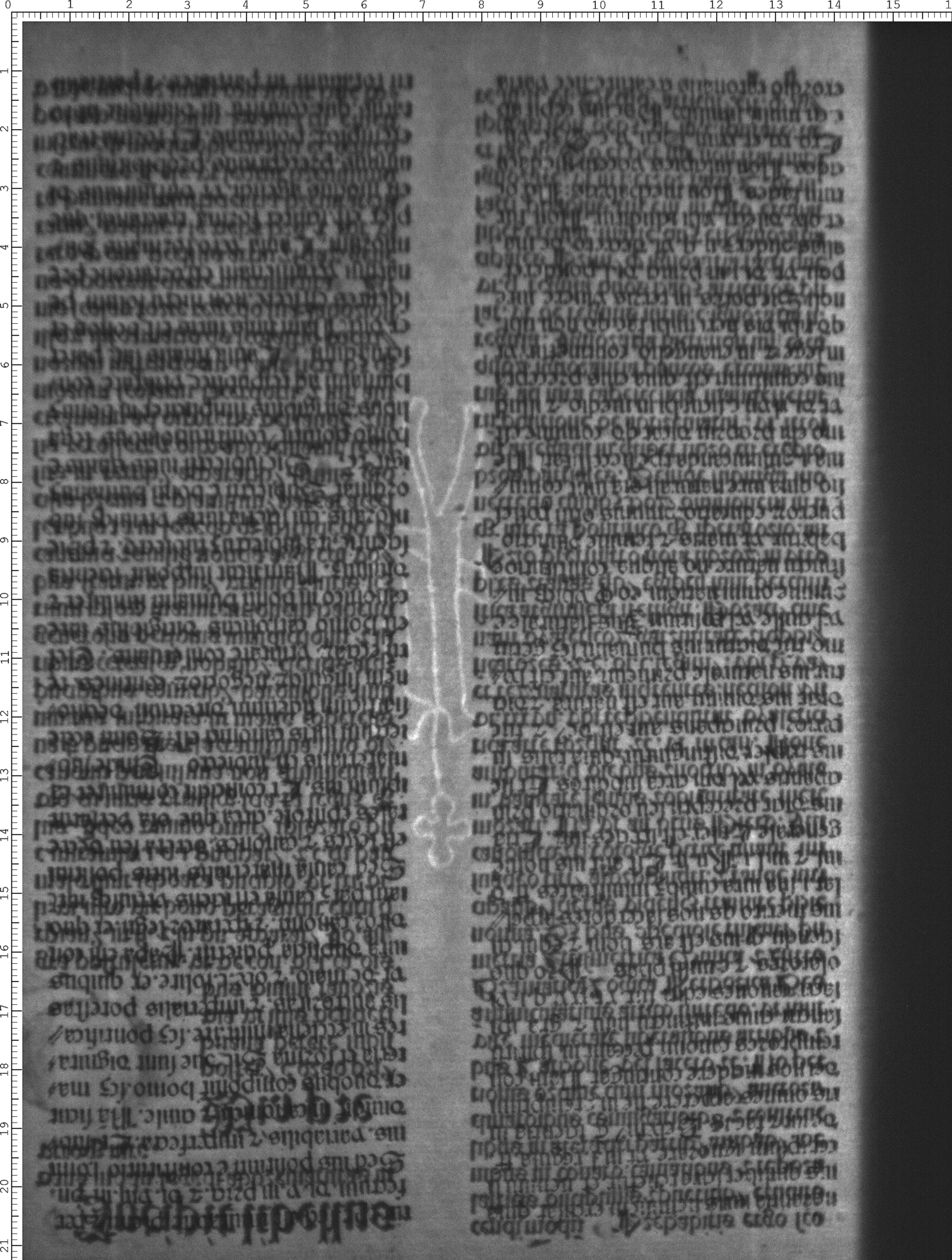Watermark