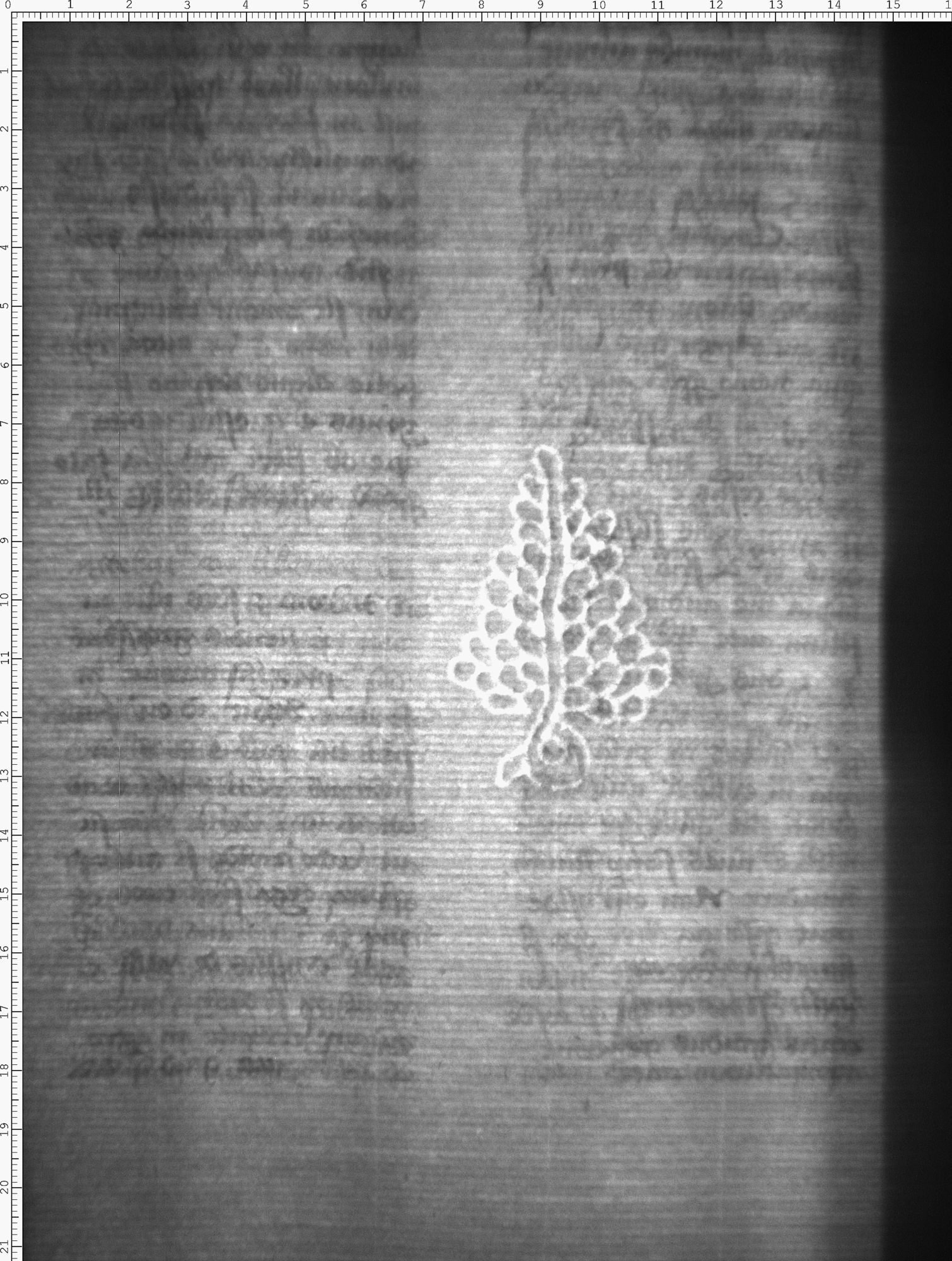 Watermark