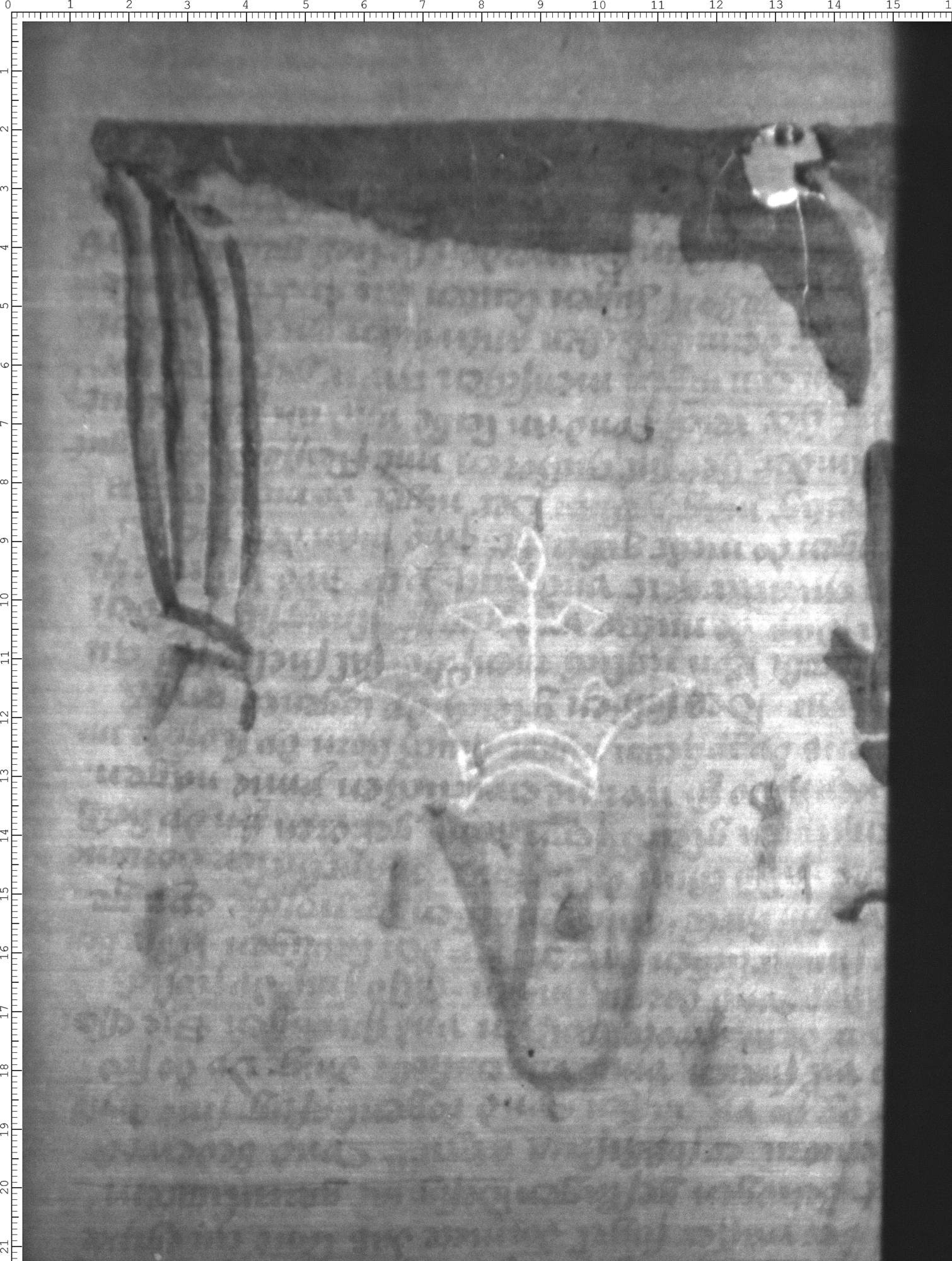 Watermark