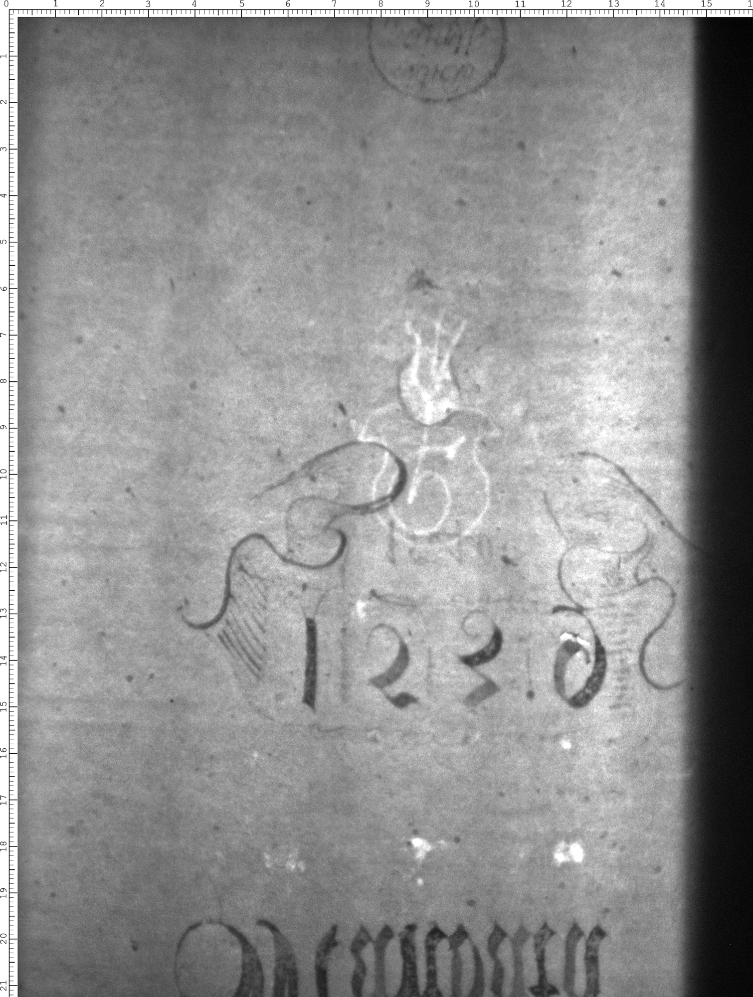 Watermark