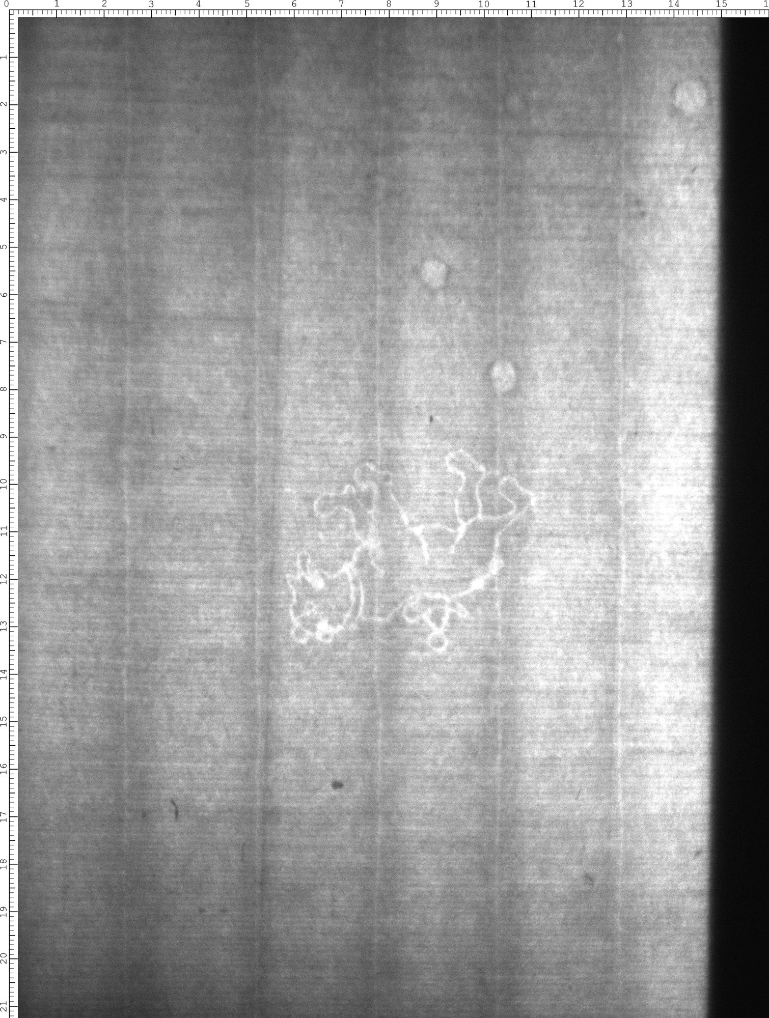Watermark