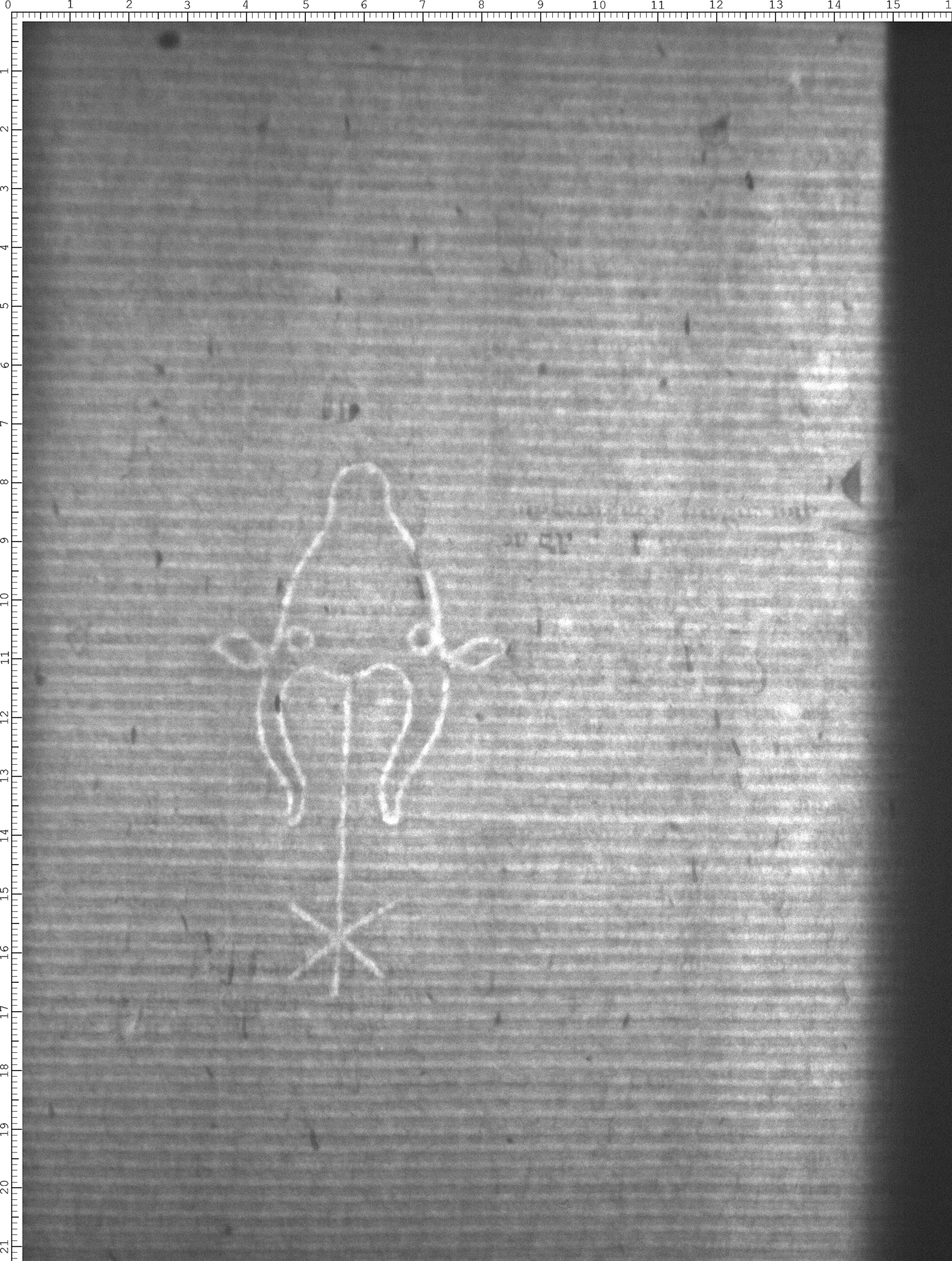 Watermark