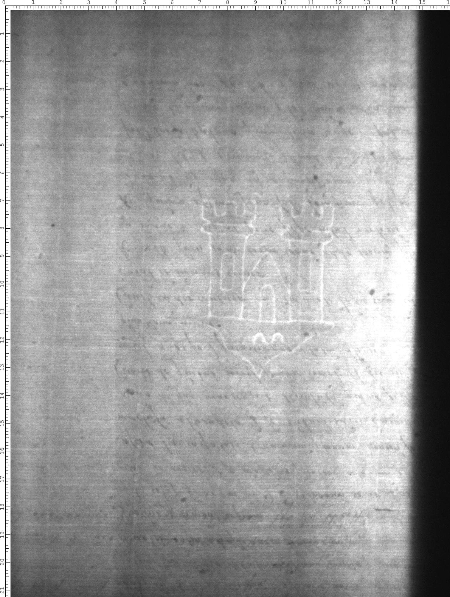 Watermark