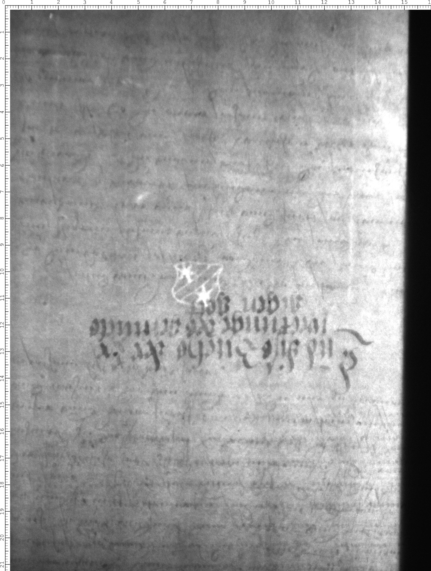Watermark