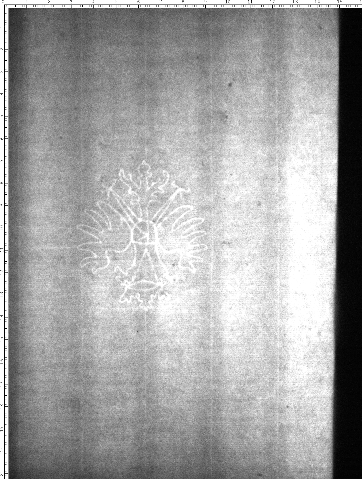 Watermark