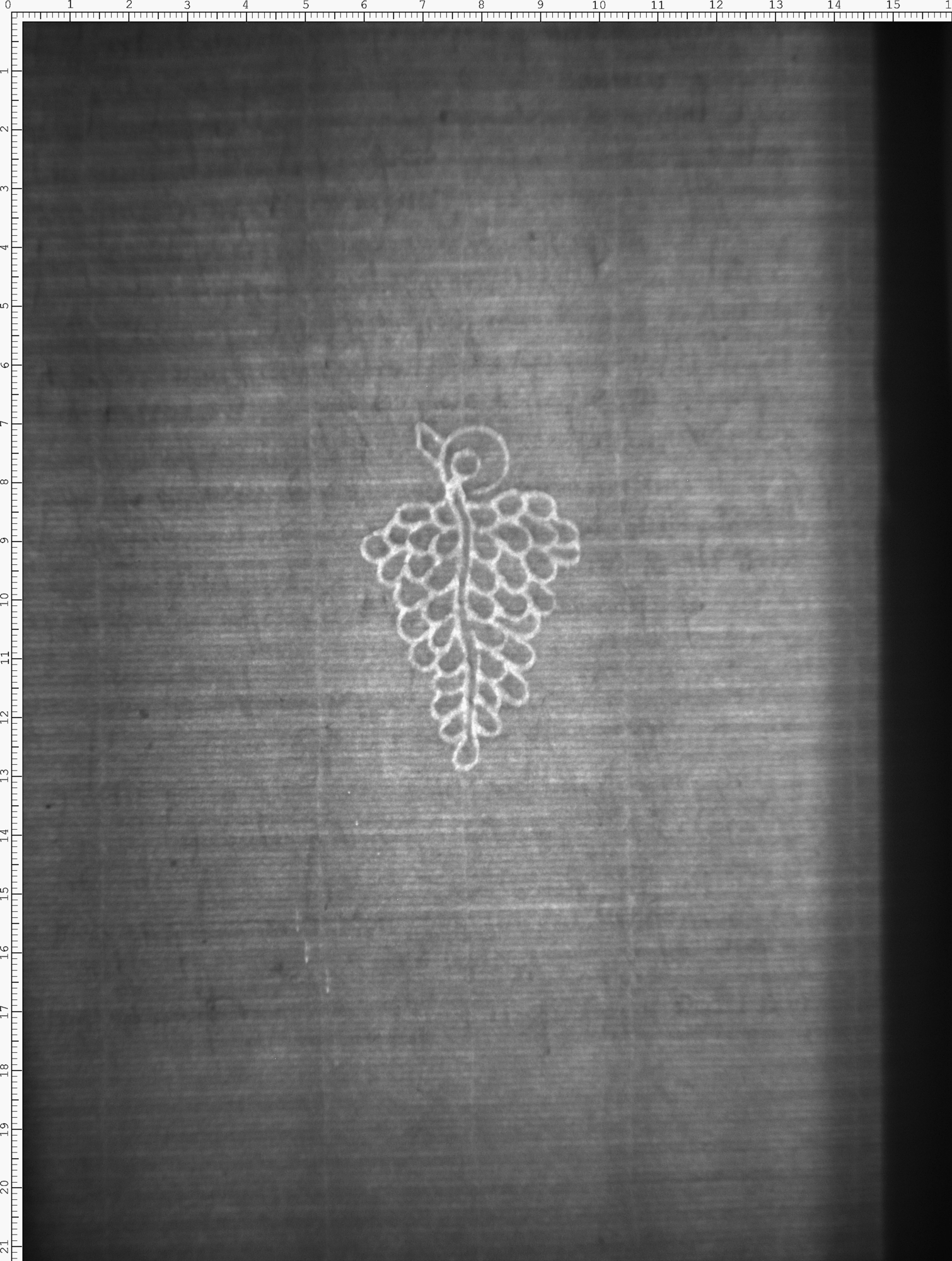Watermark