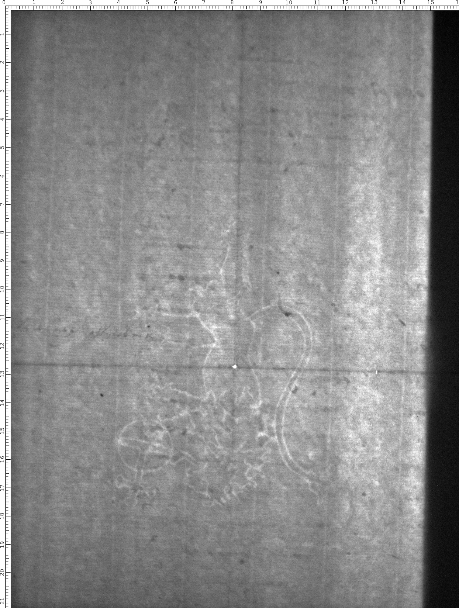 Watermark