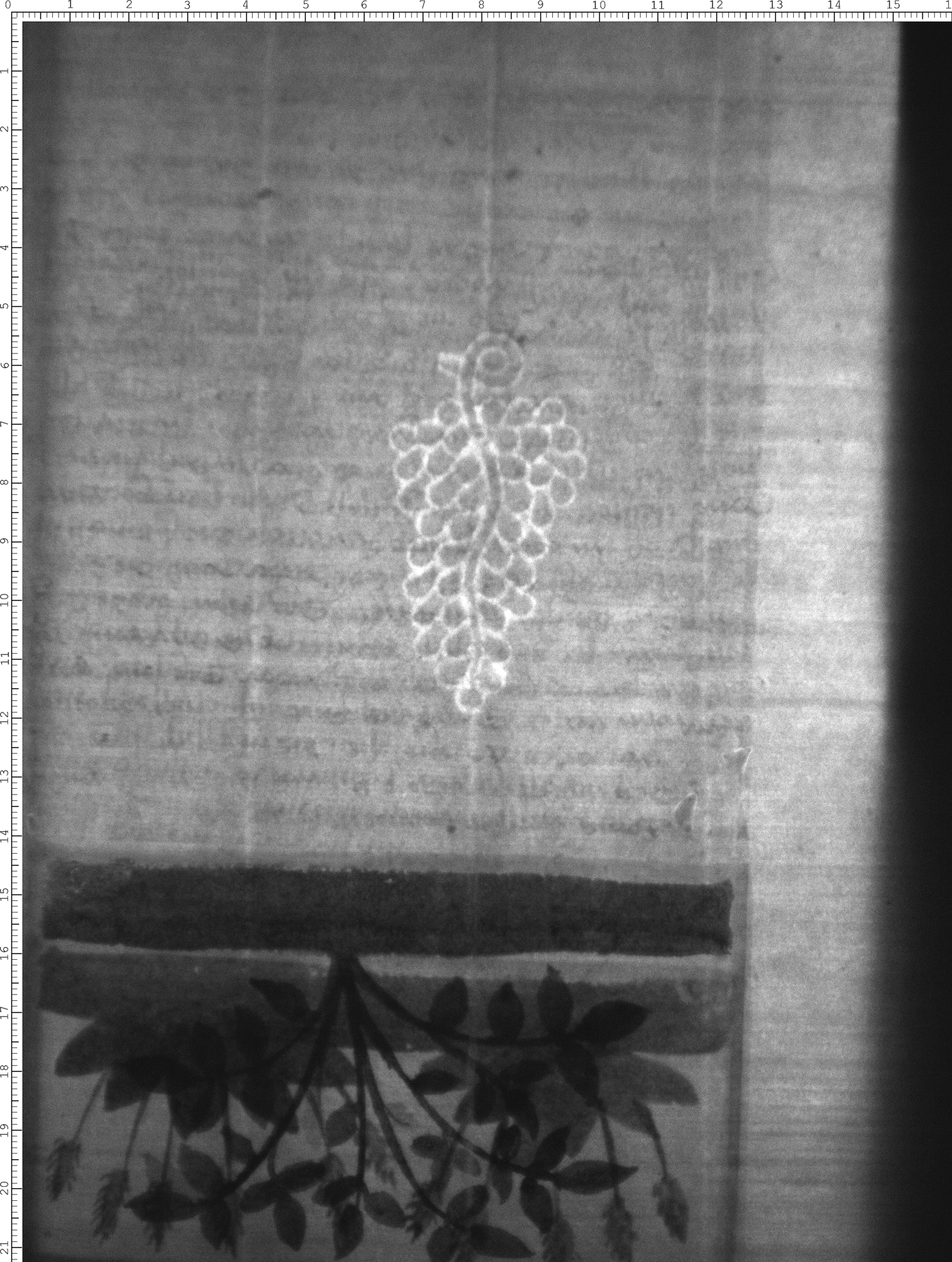 Watermark