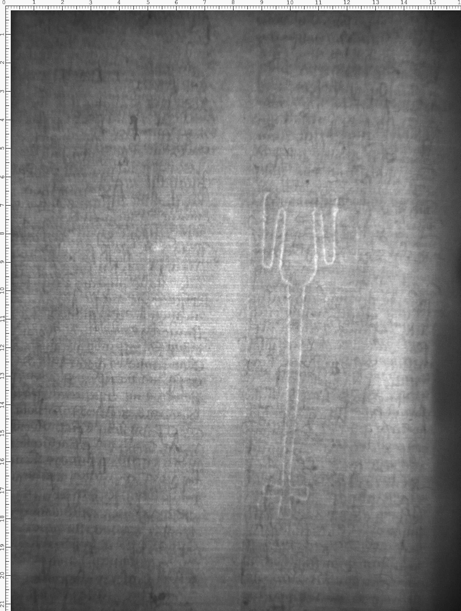 Watermark