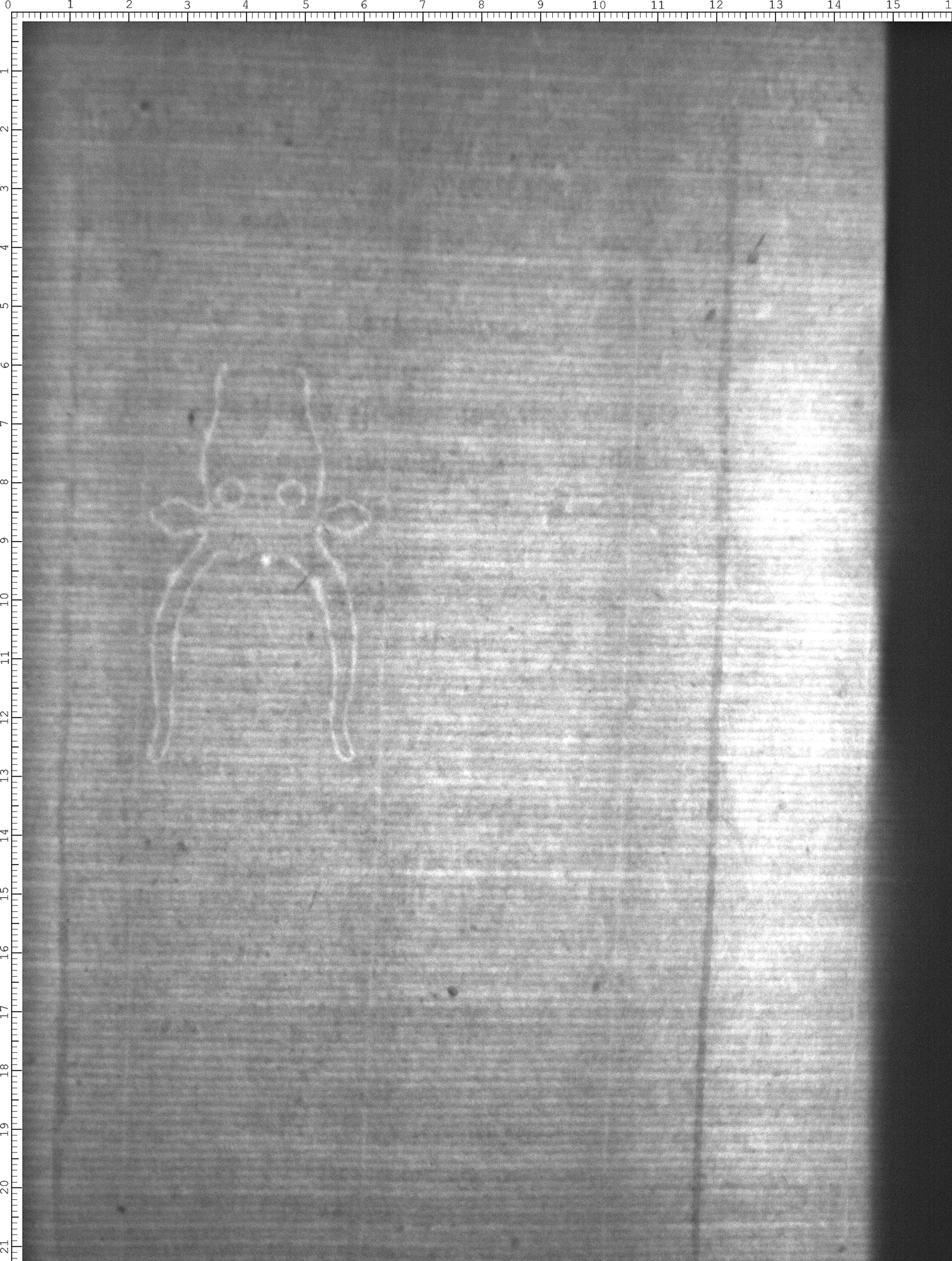 Watermark