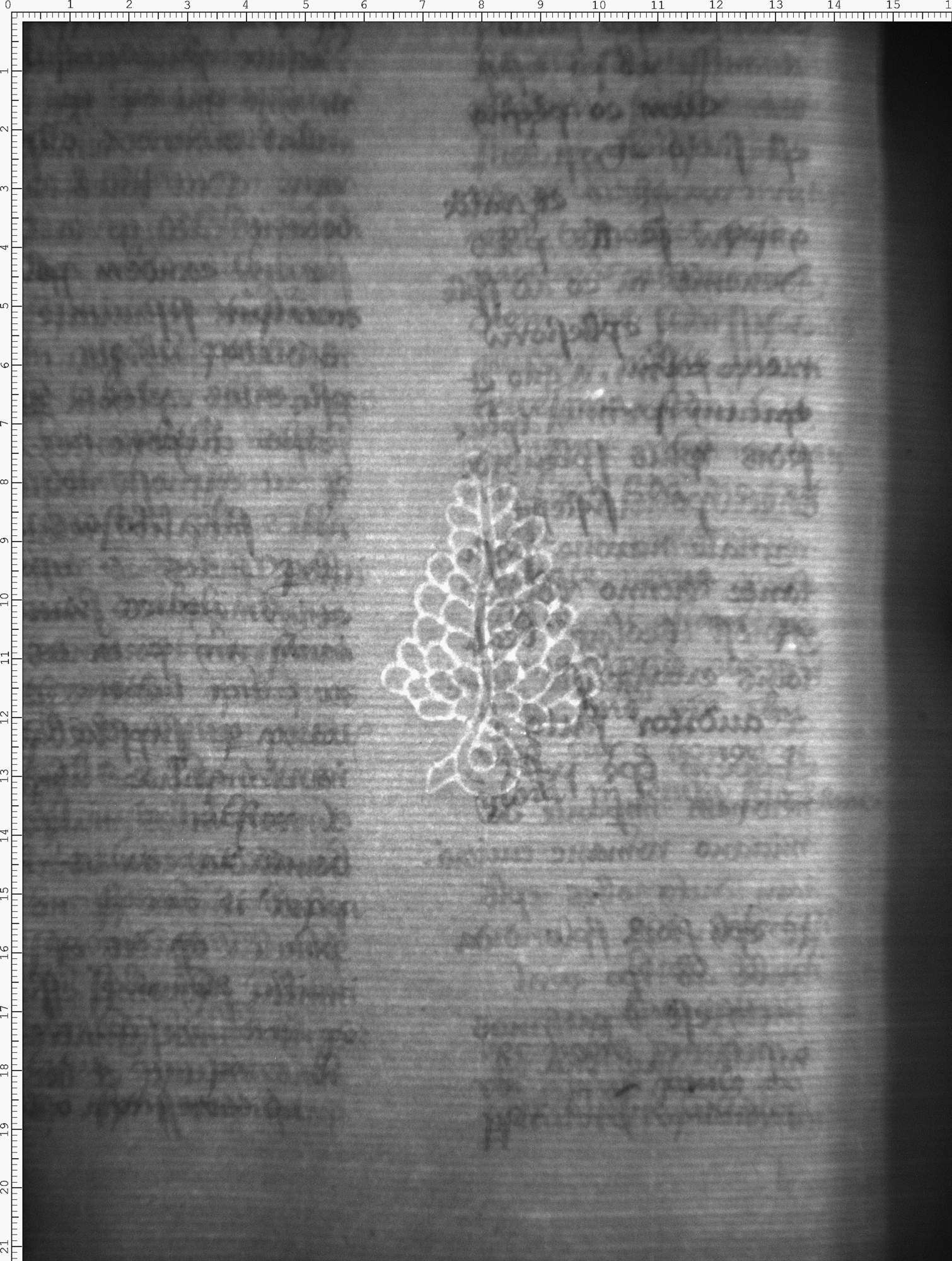 Watermark