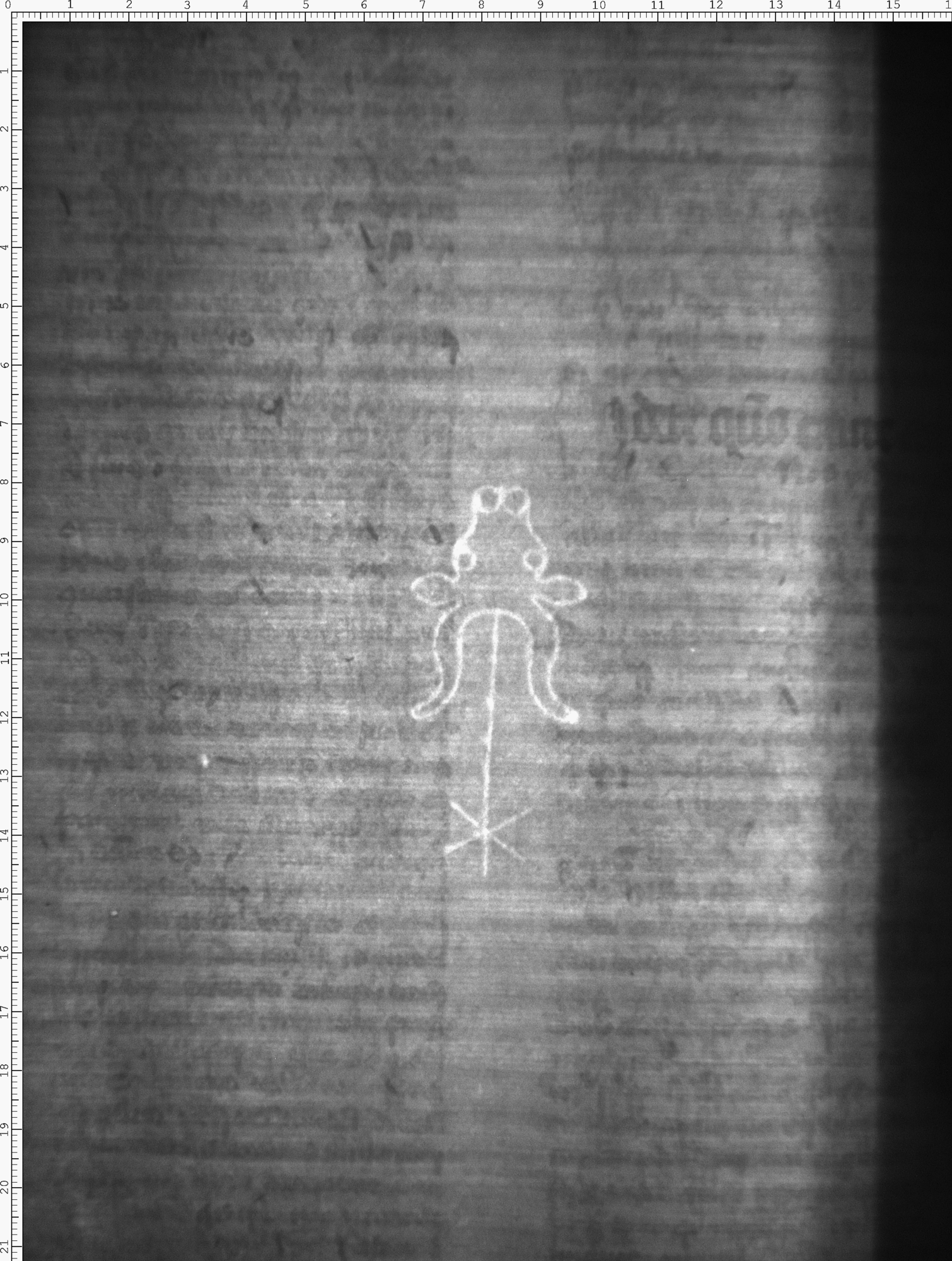 Watermark