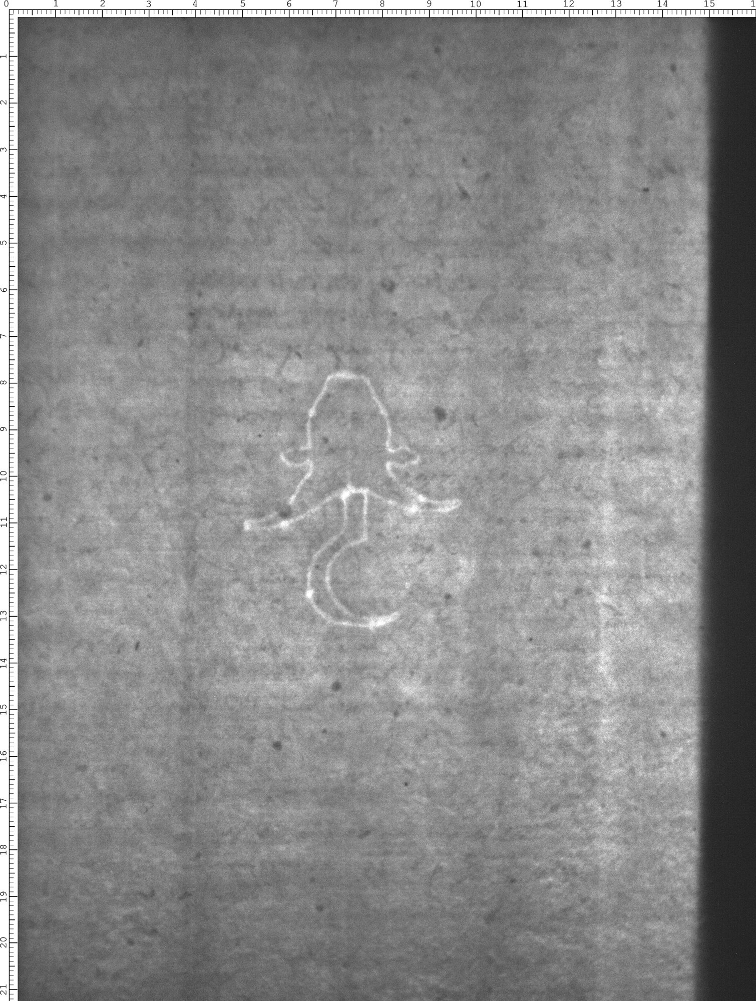 Watermark