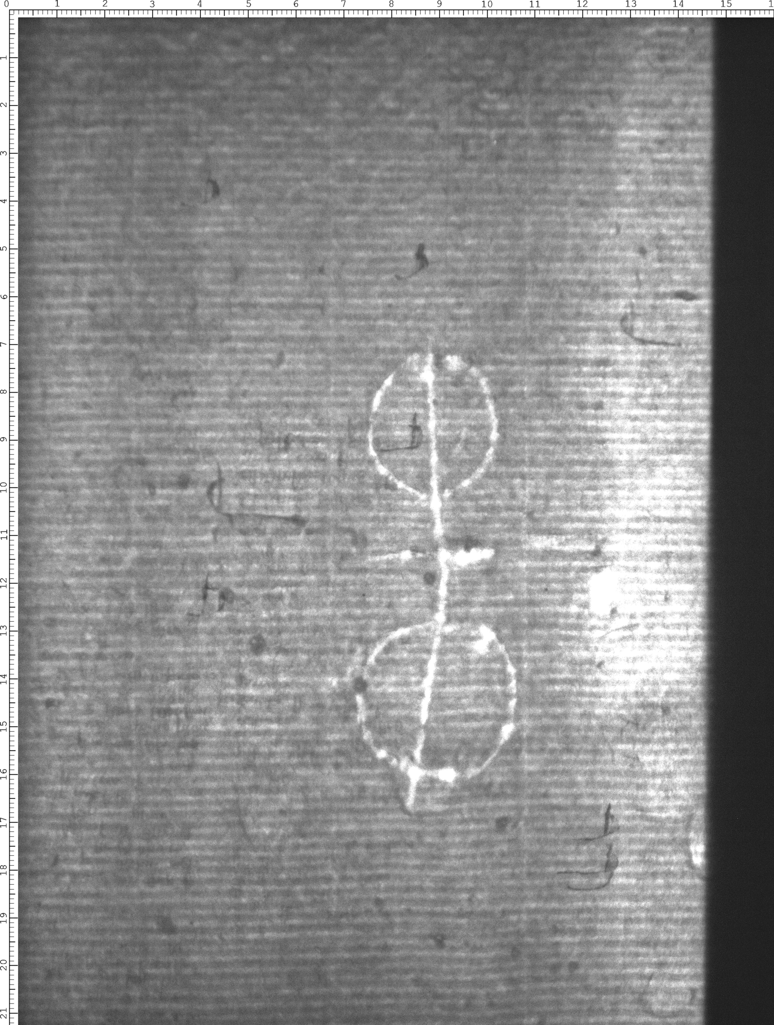 Watermark