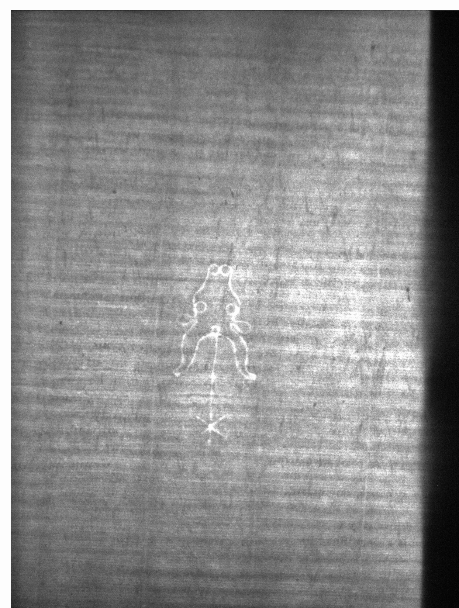 Watermark