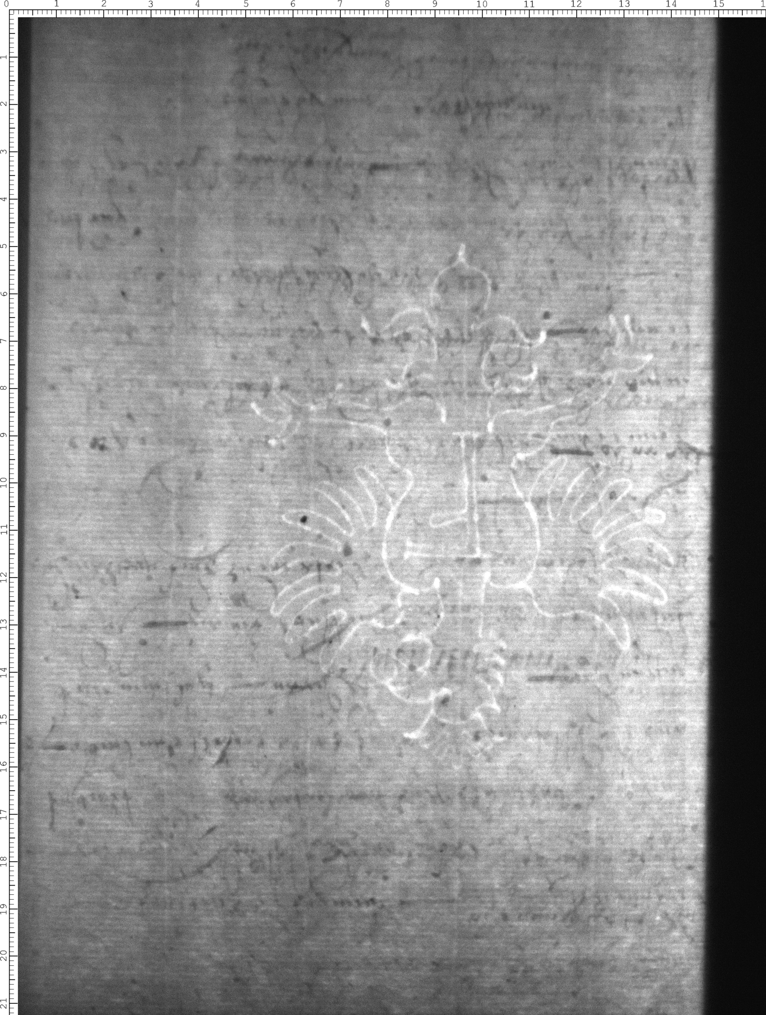 Watermark