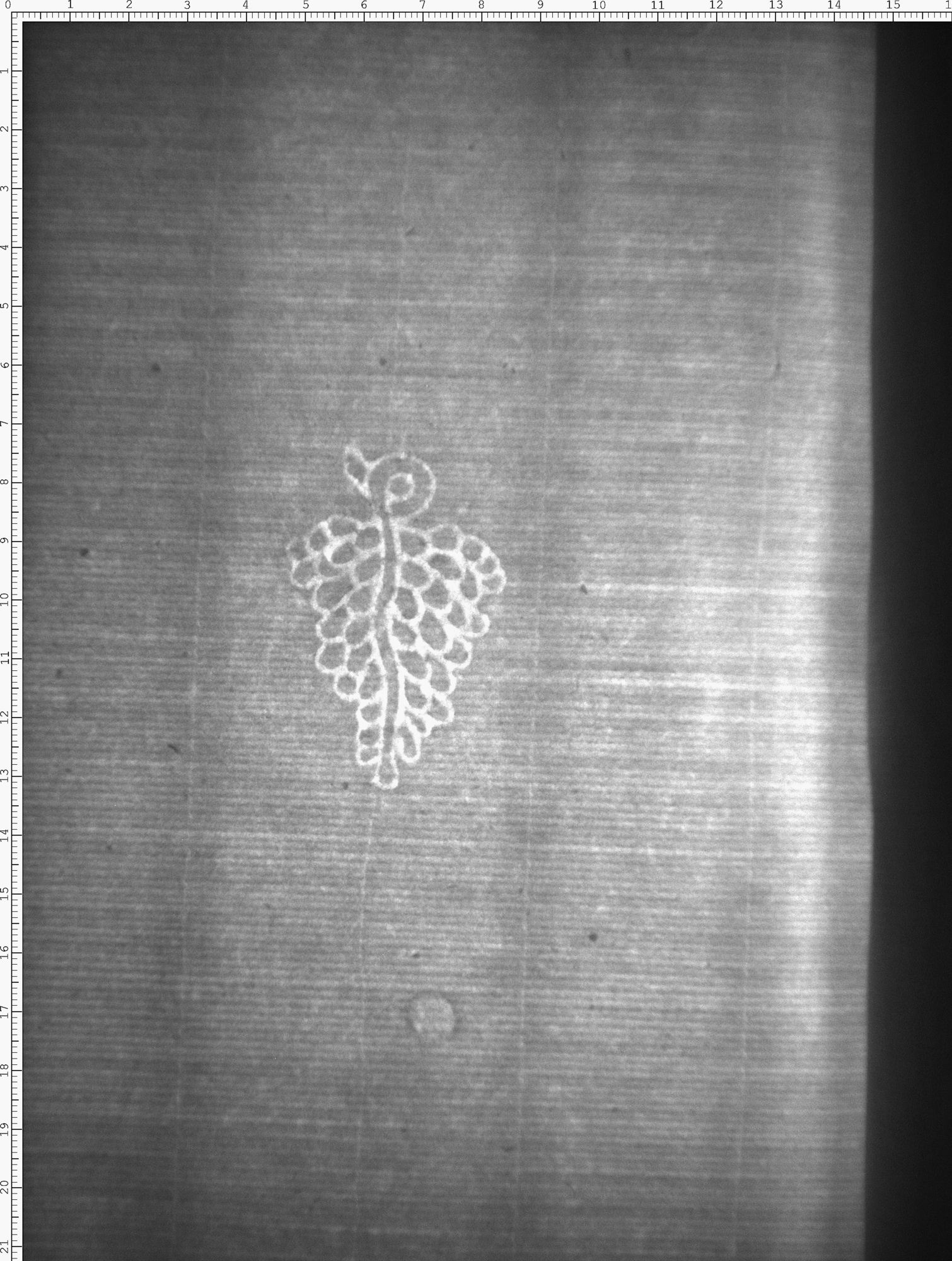 Watermark